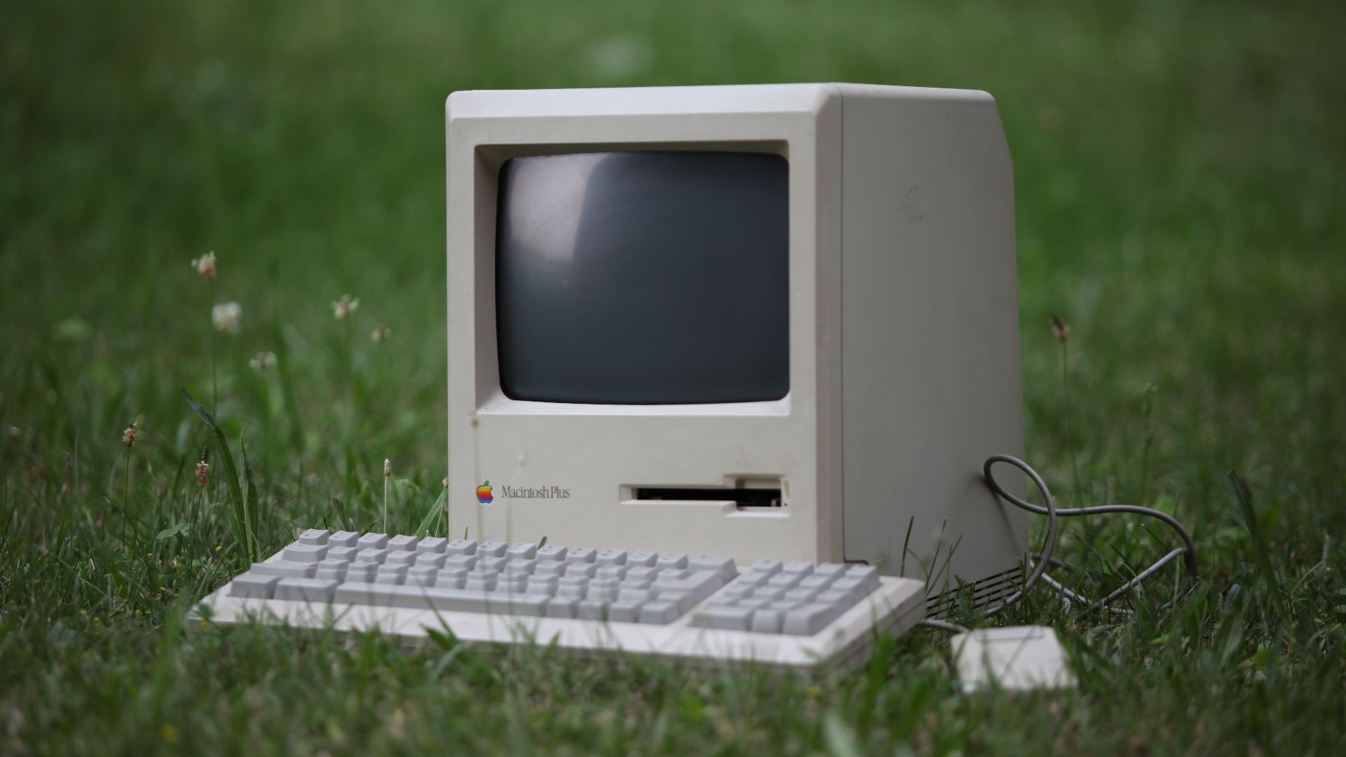 File:Macintosh Plus Retrocomputing on the green (4736421775).jpg