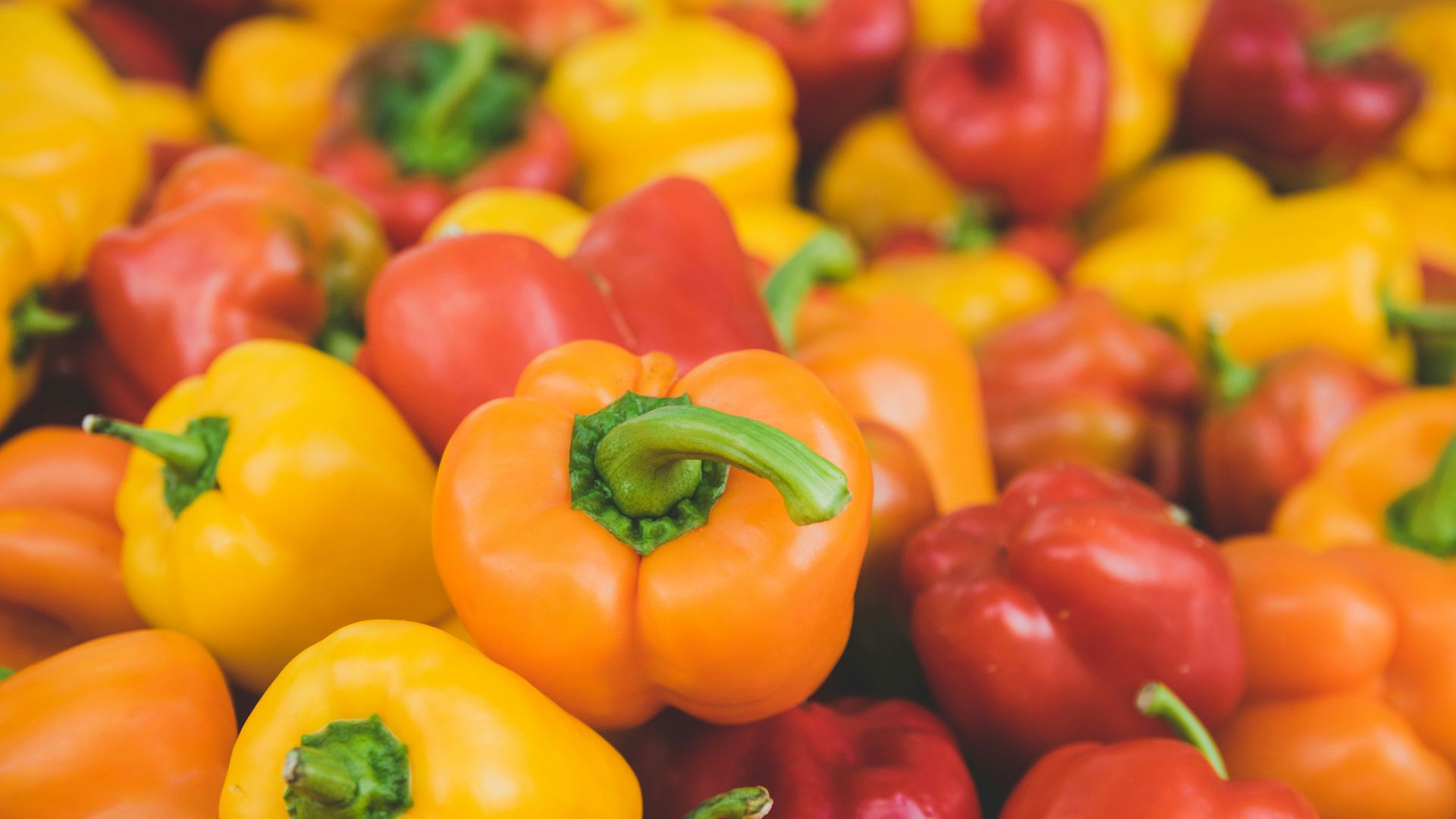 orange and red bellpepper lot