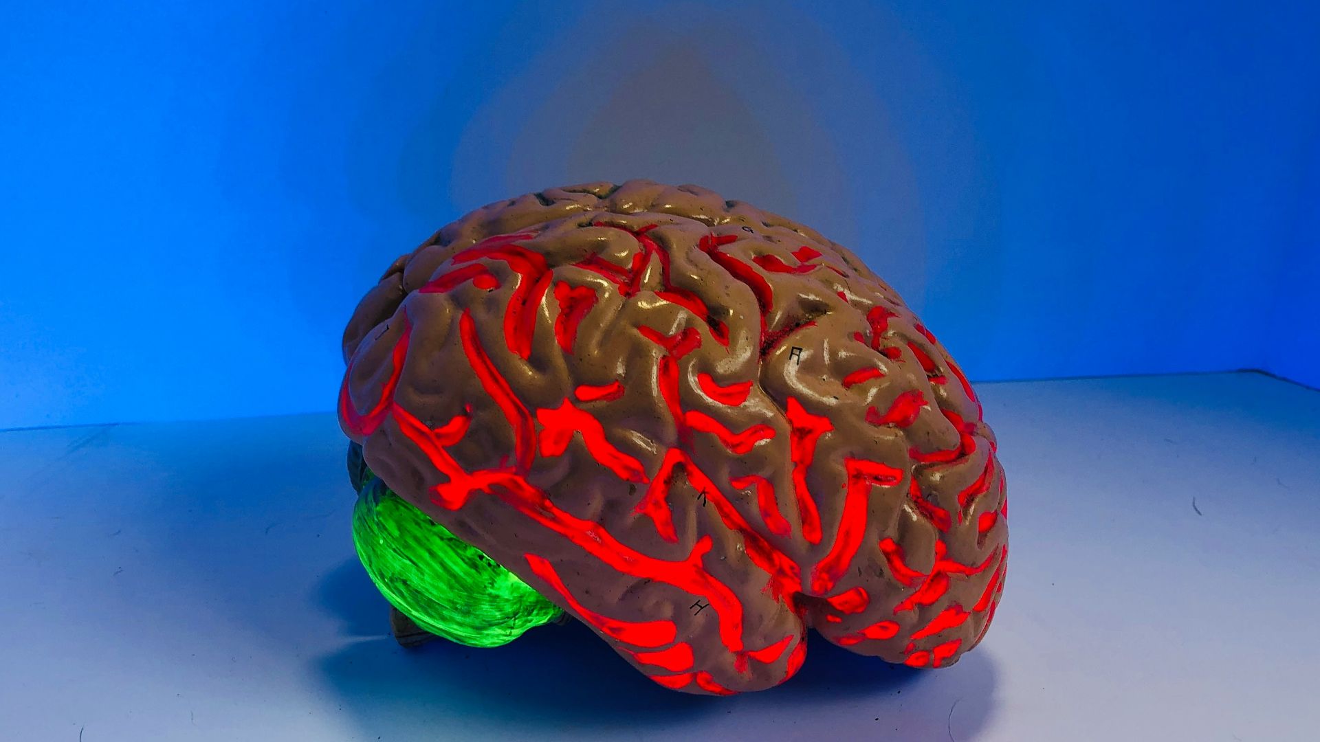 brain figurine