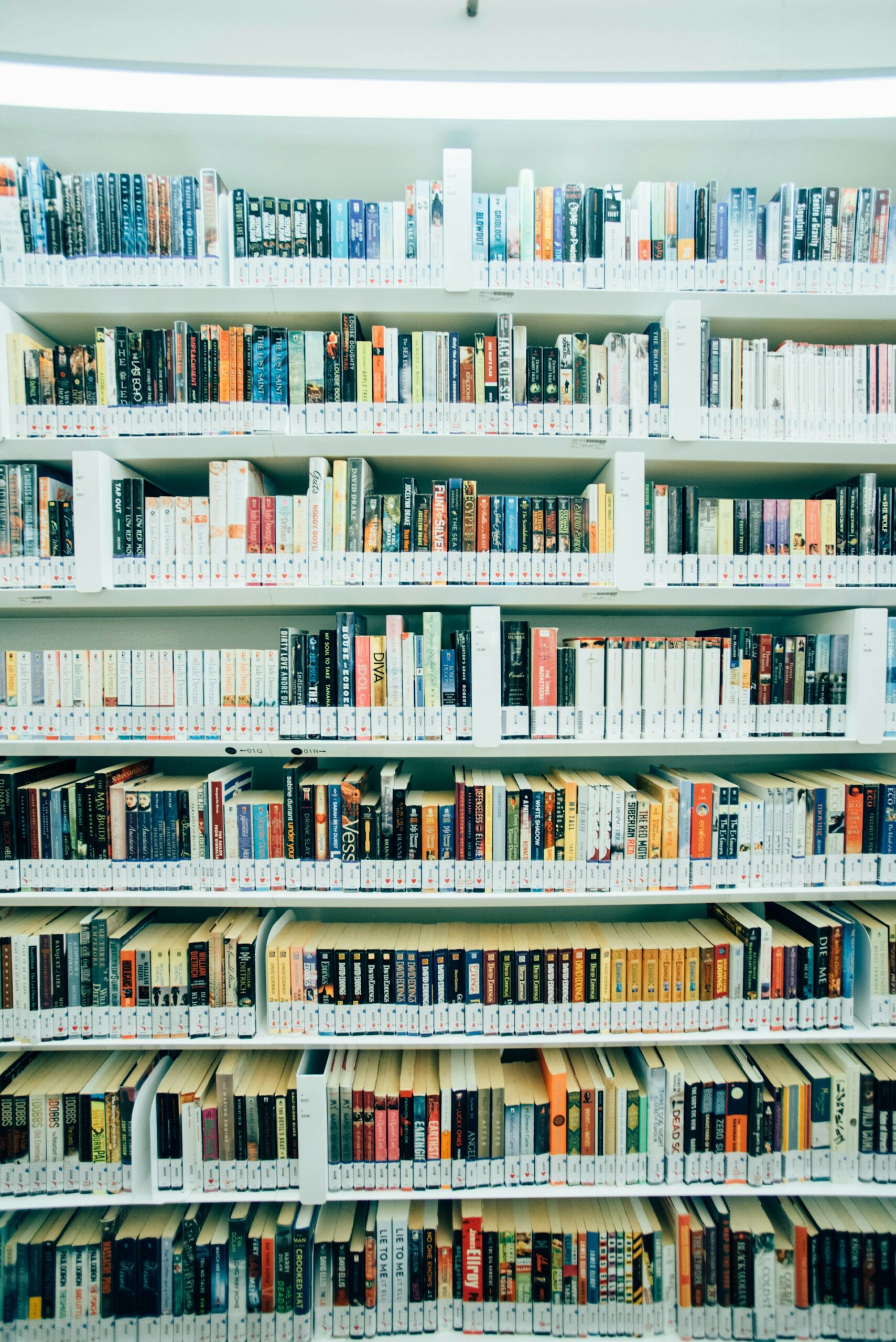 chuttersnap-sXyrbN3c7J4-unsplash-scaled-3.jpg