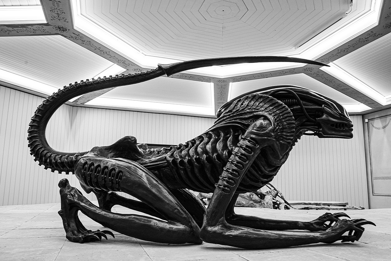 xenomorph51643425582-1.jpg