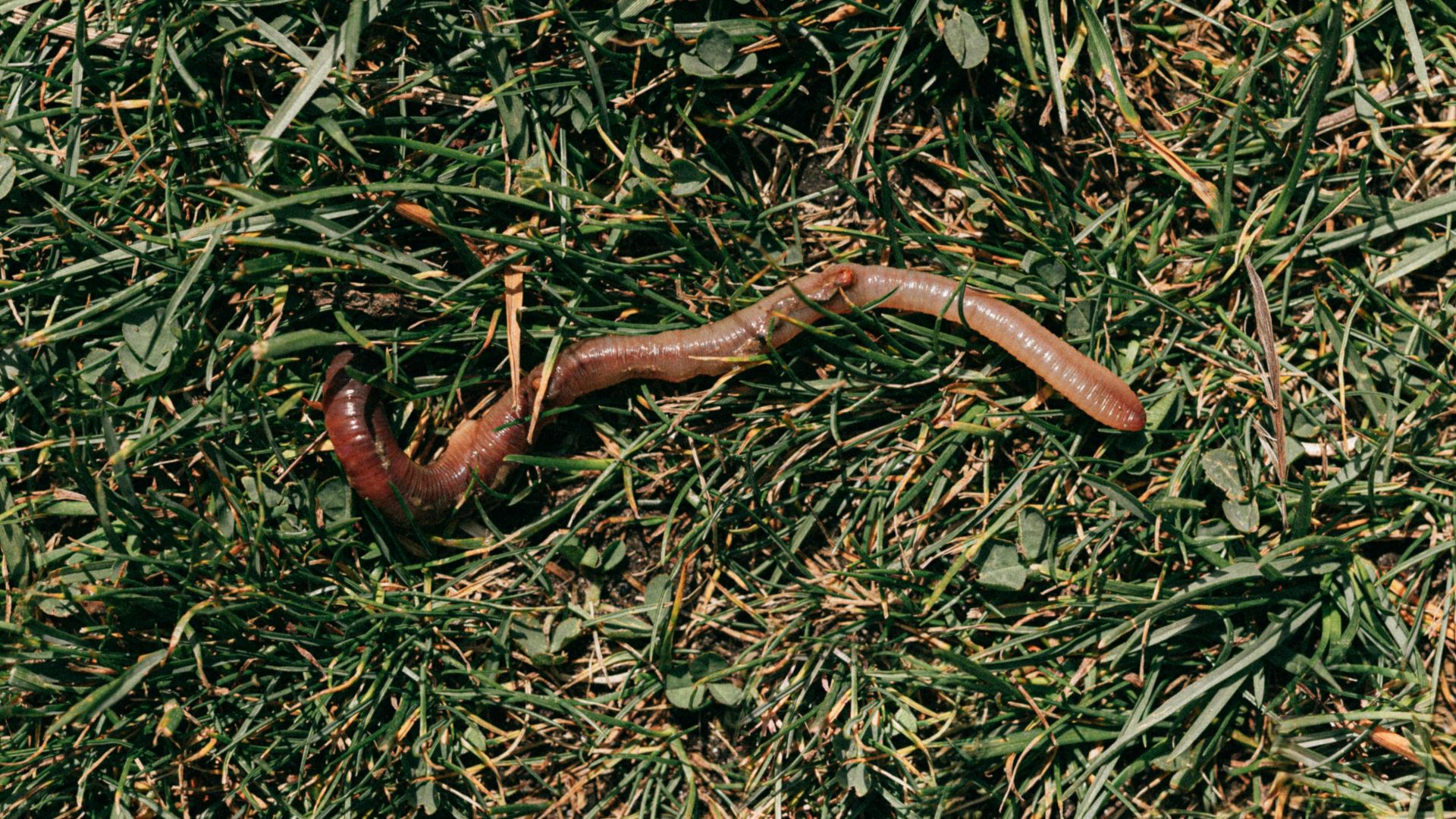 Photo By: Kaboompics.com