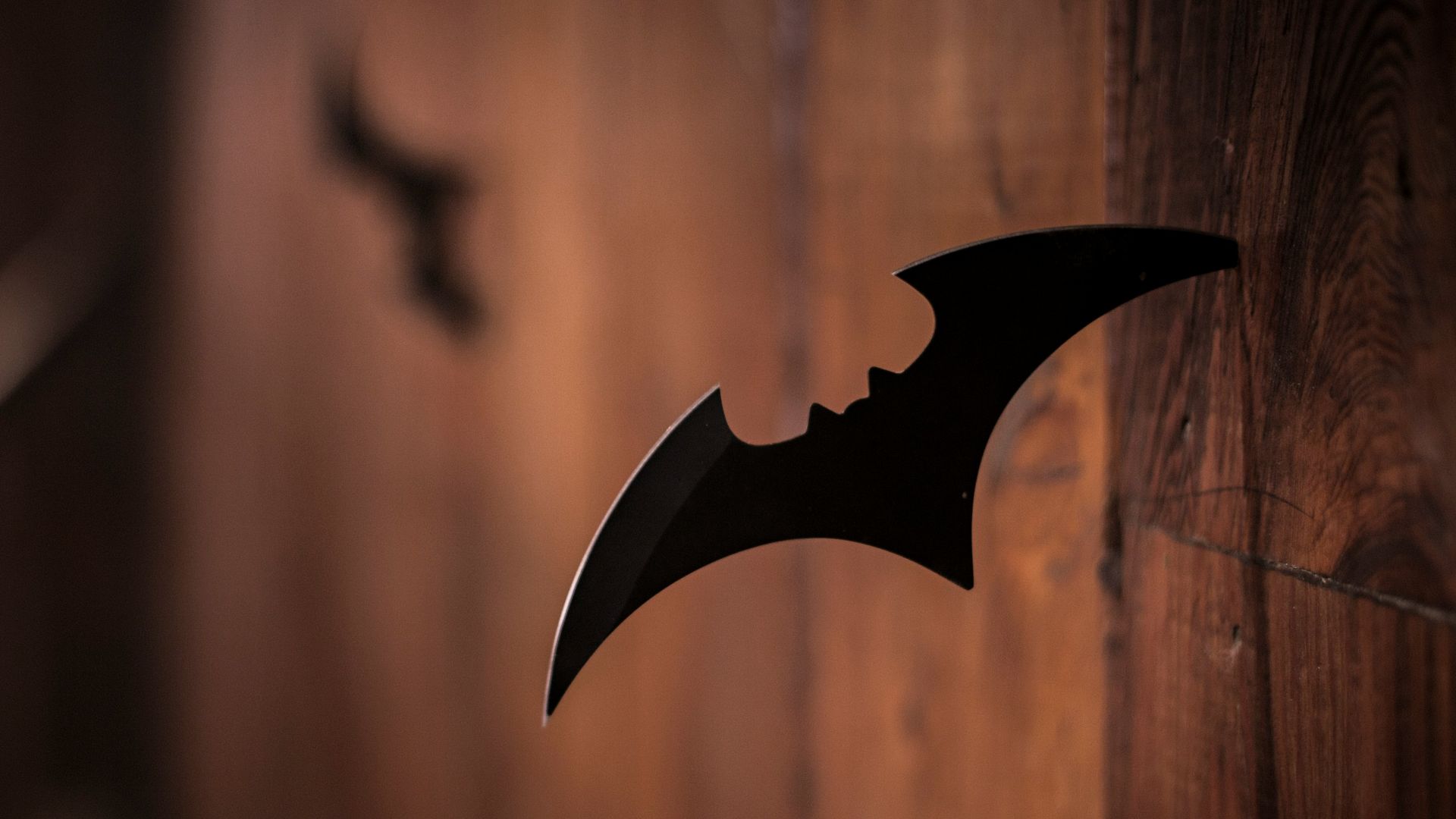 closeup photo of shuriken on wood