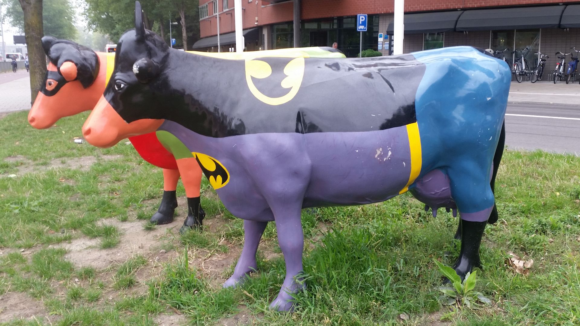 File:Batman en Robin-koeien2.jpg