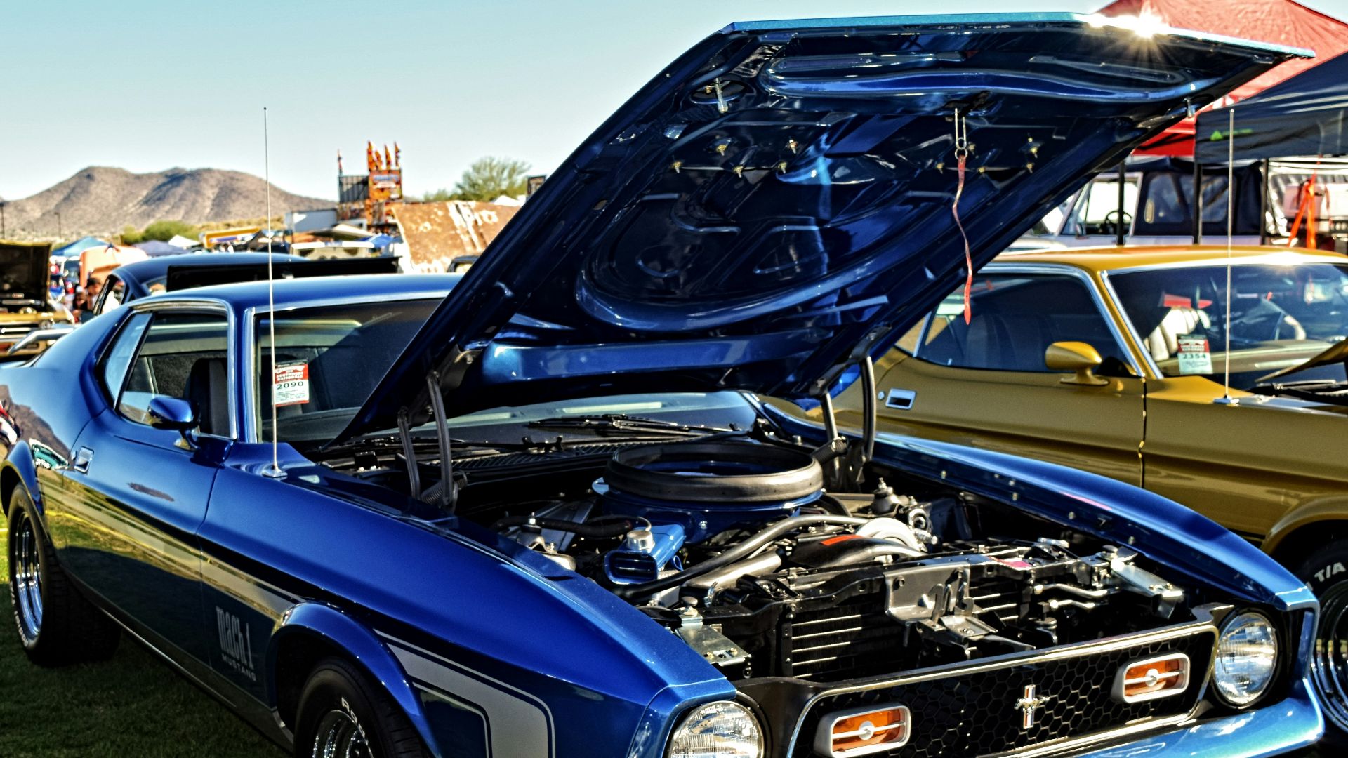 blue Ford Mustang coupe