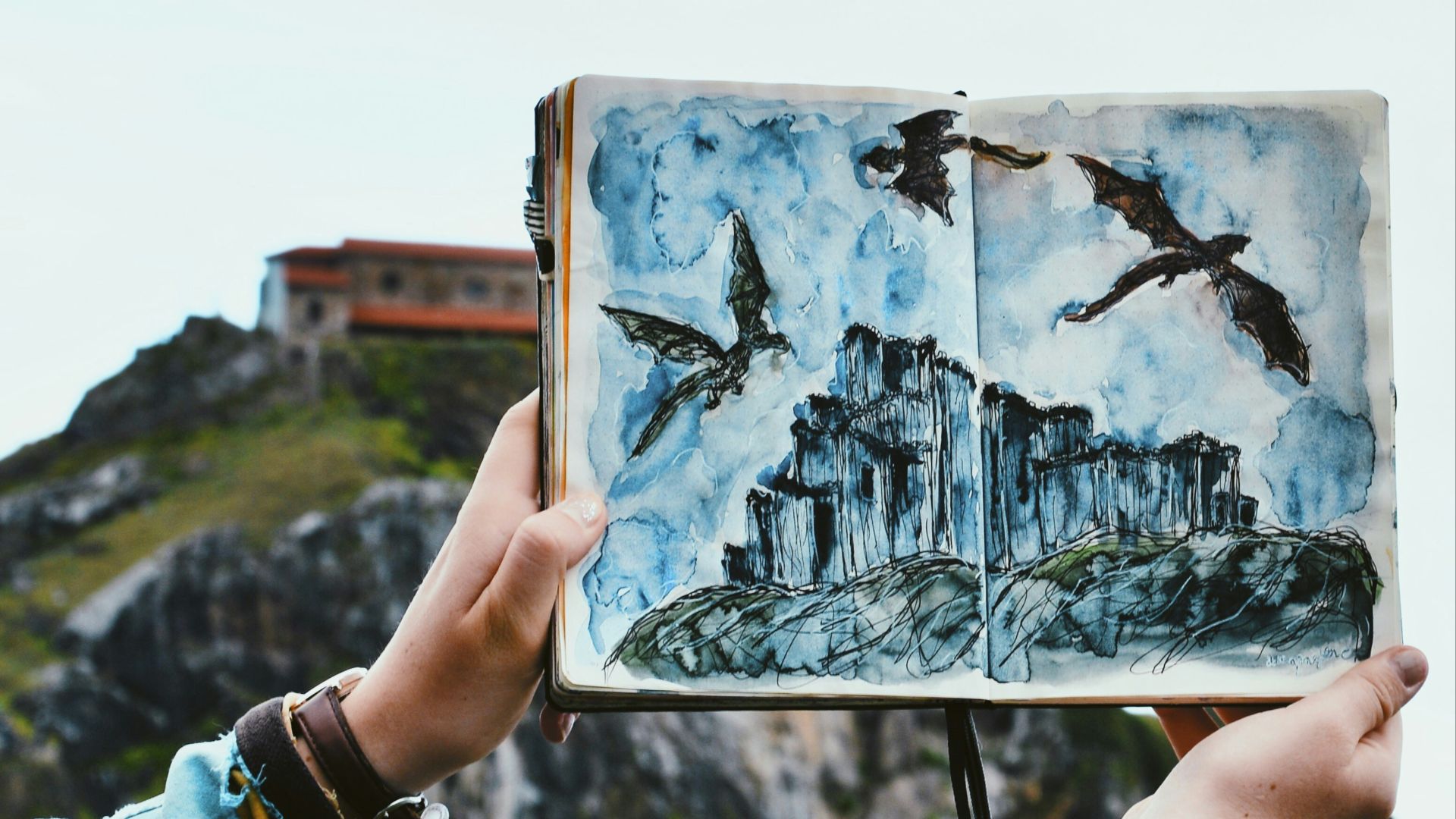 shallow focus photo of person holding book/