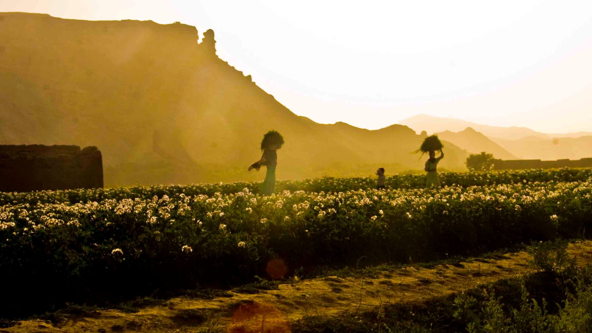 File:In the Shadow of the Colossus (4292980537).jpg