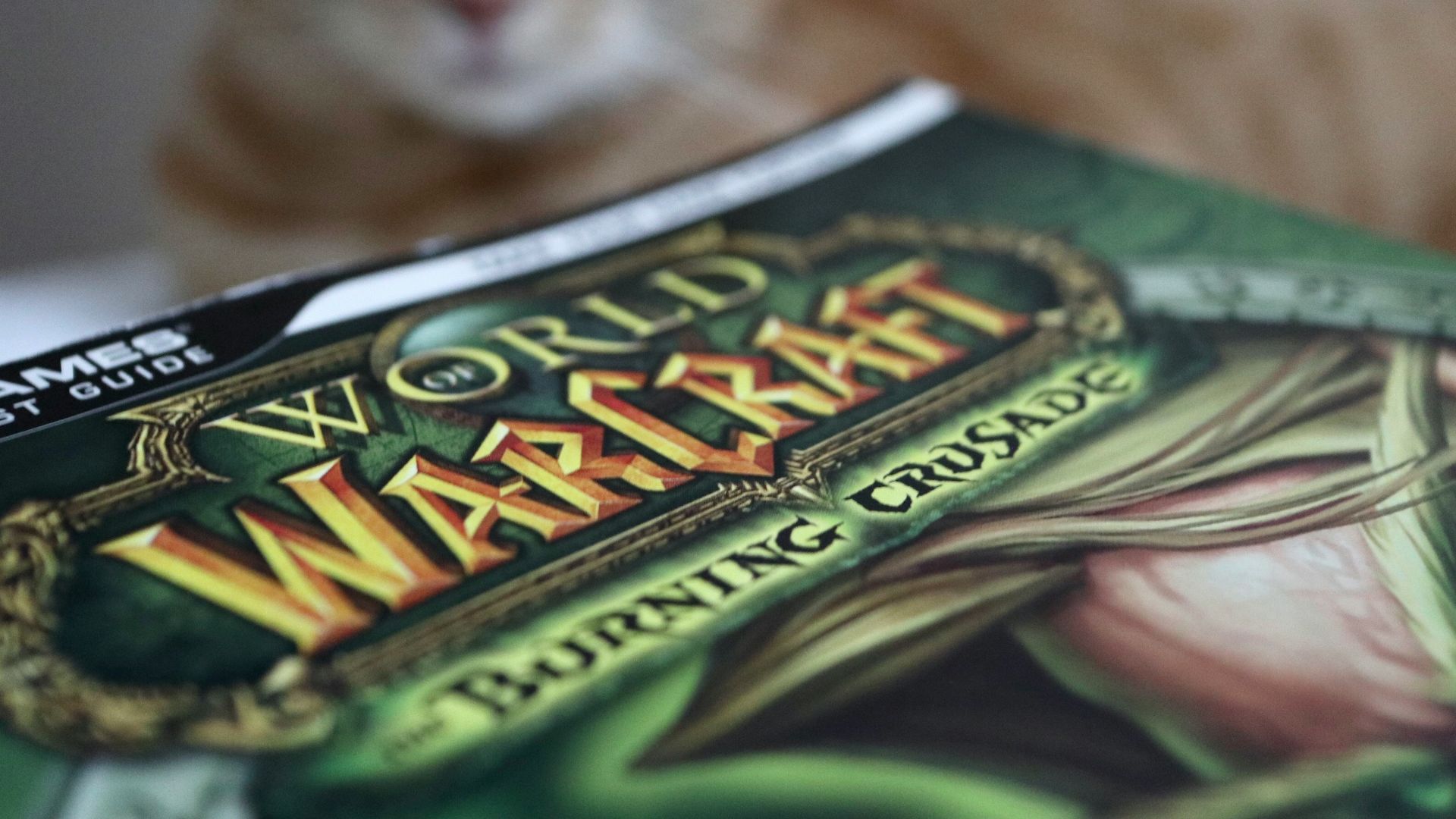 brown tabby cat on green and white textile