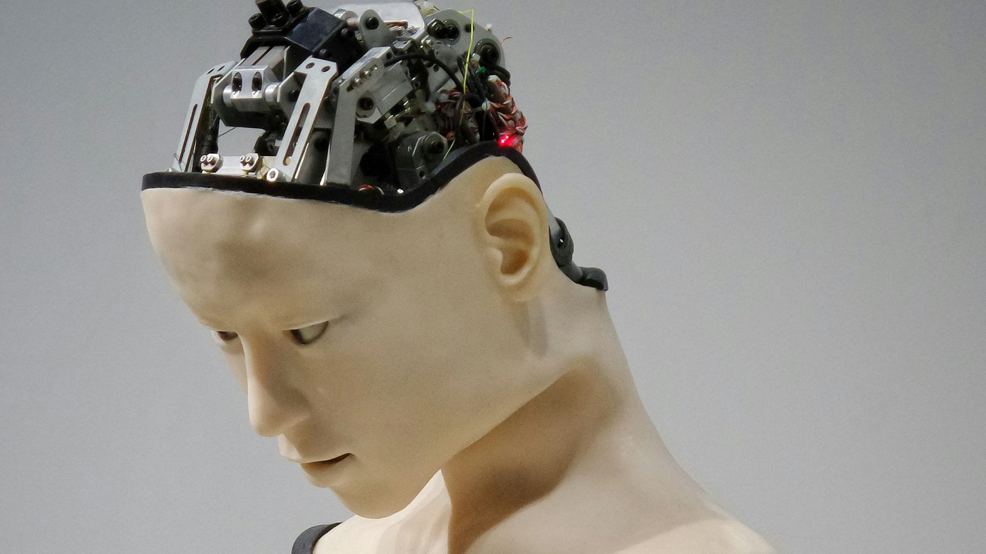 white and brown human robot illustration