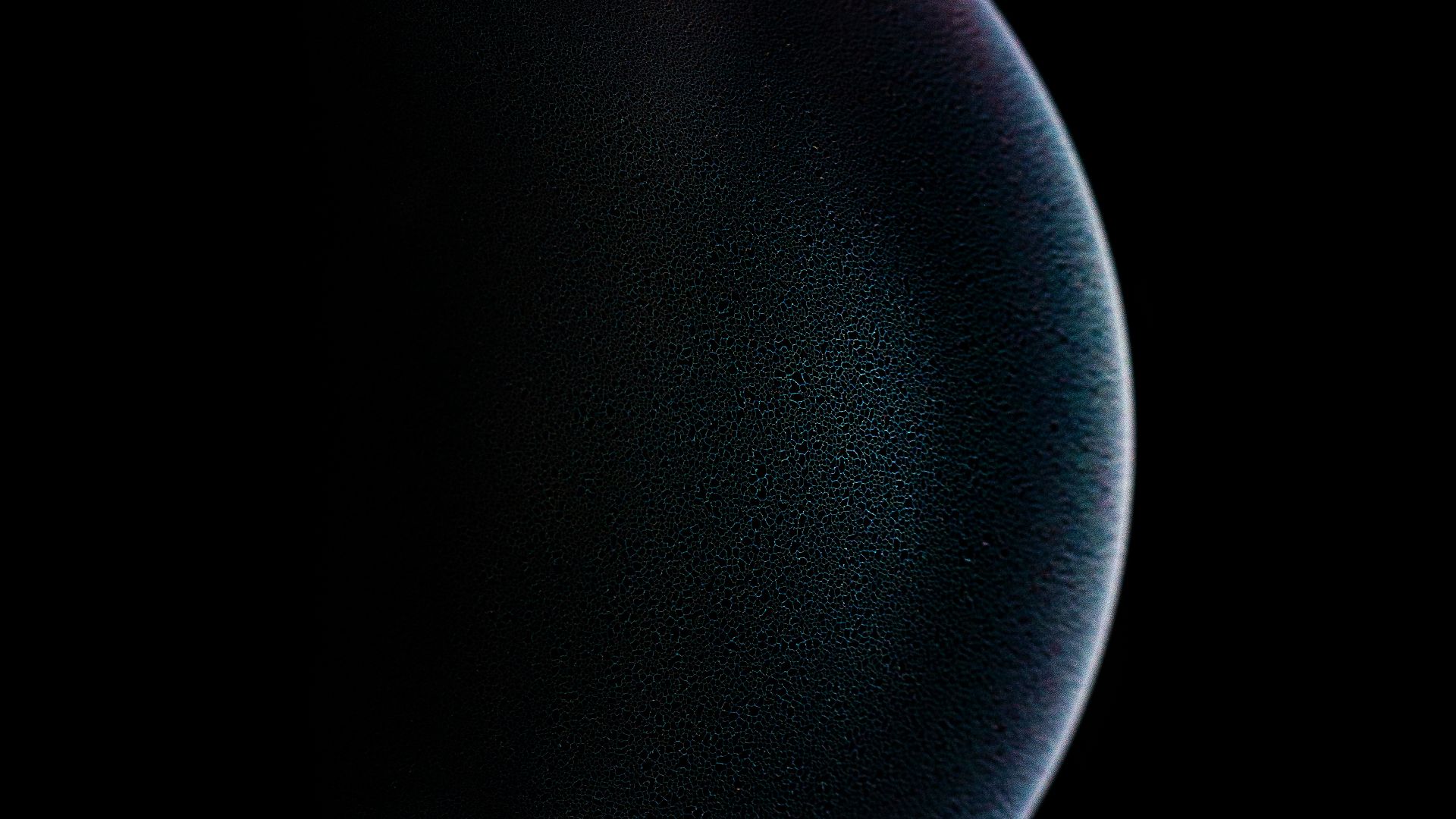 black round ball on white background