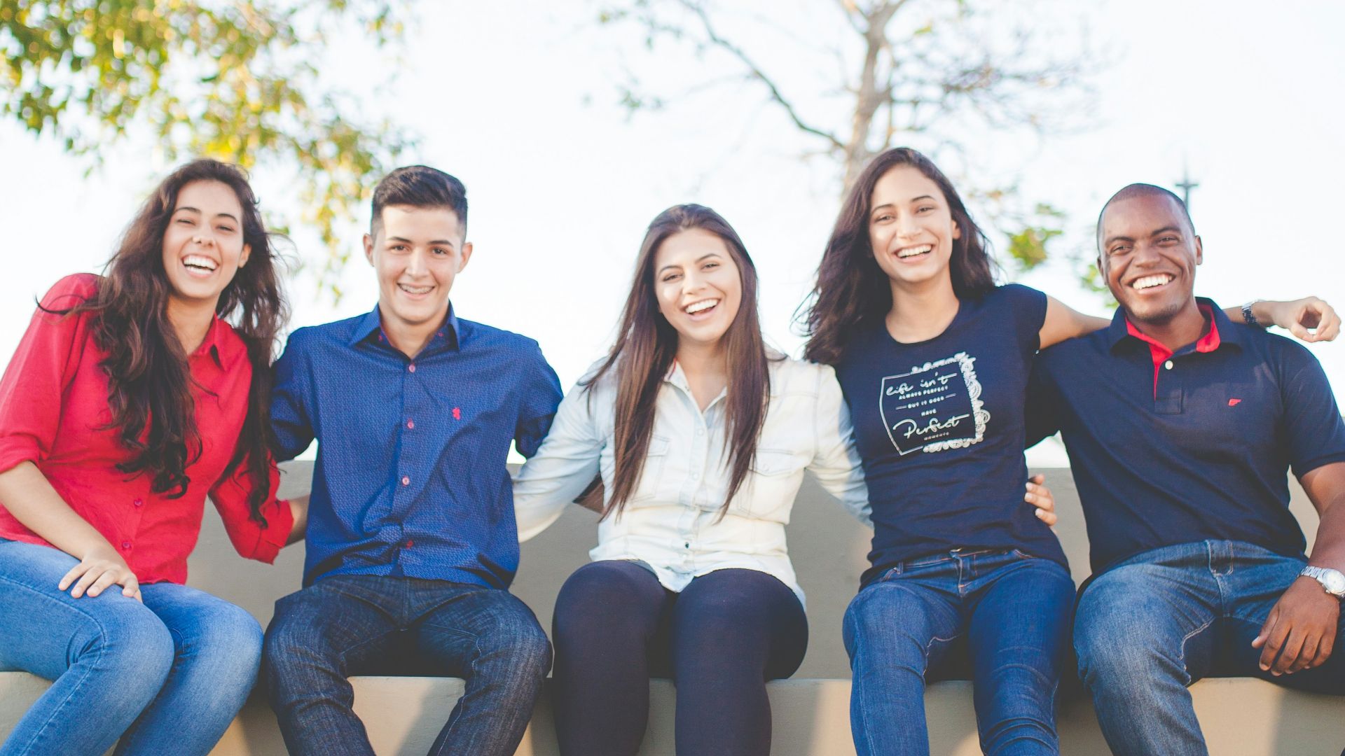 group of people sitting on bench near trees duting daytime