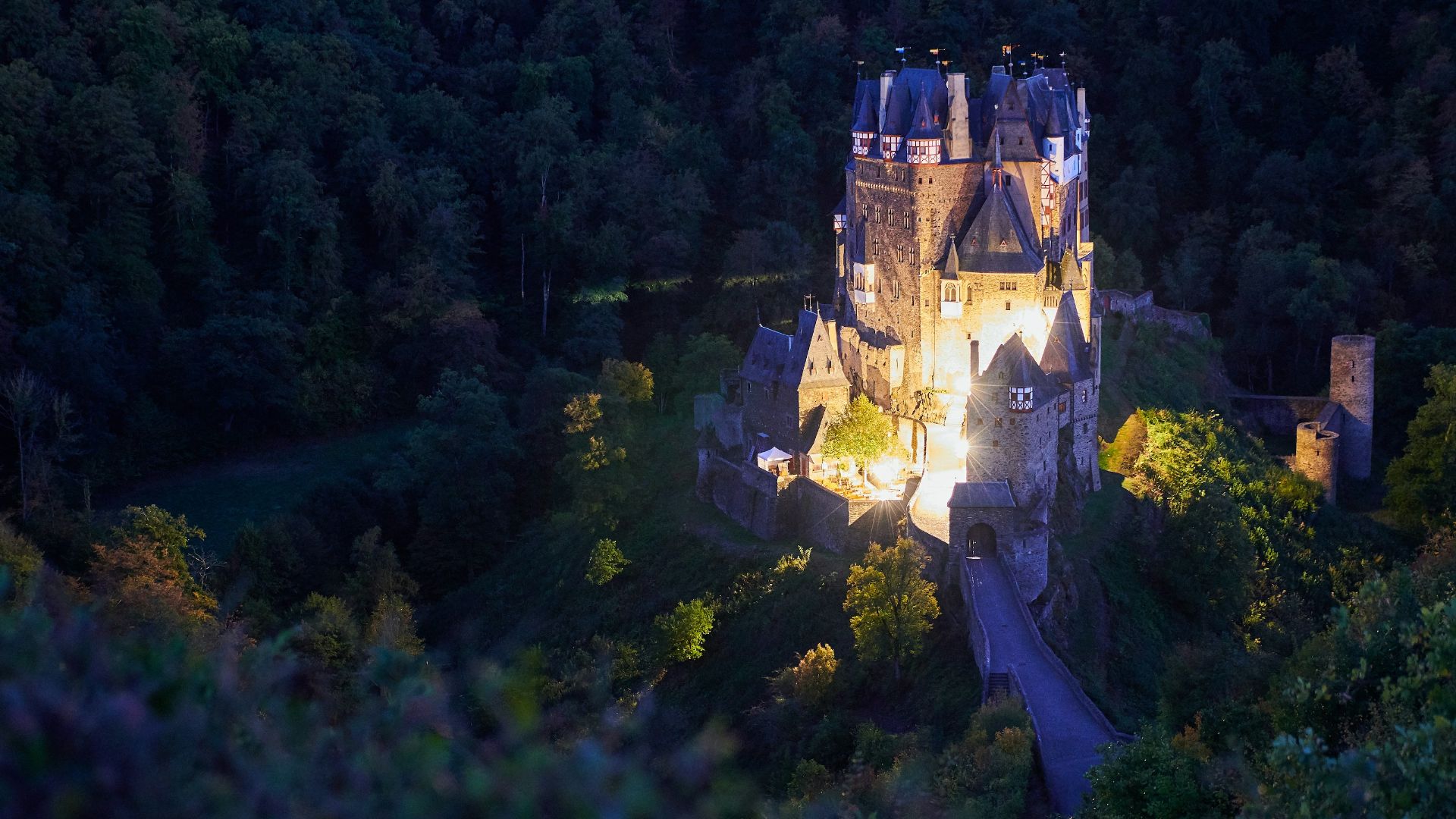 brown concrete castle in the middle of forest