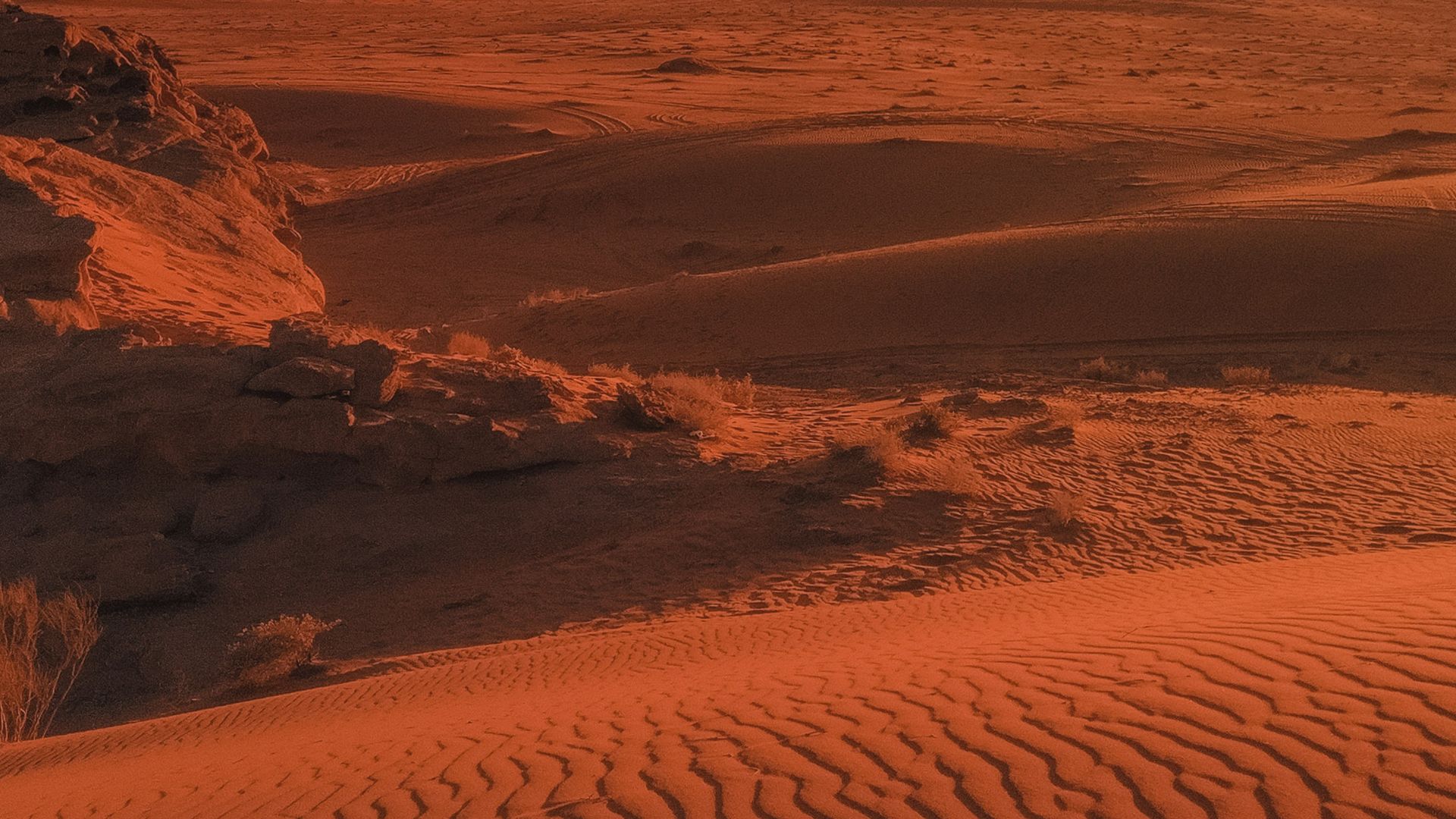 brown sand under blue sky during night time