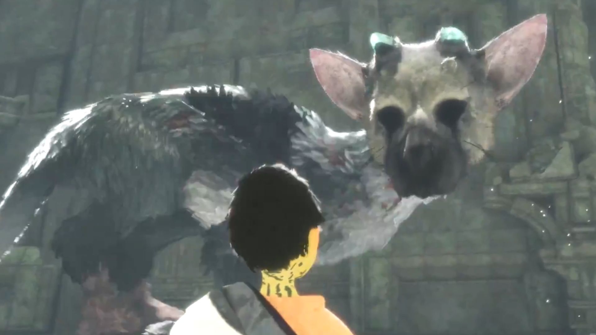 the-last-guardian-2016.jpg
