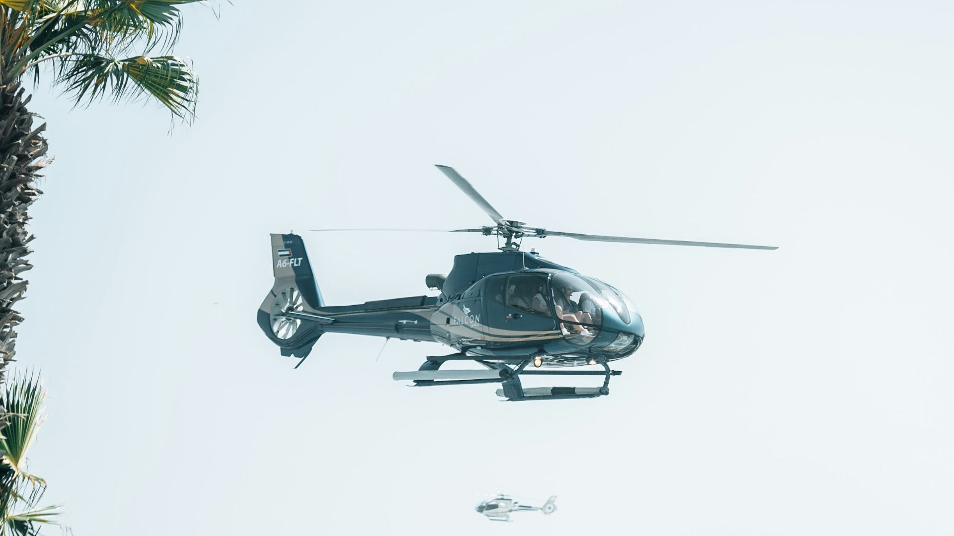 A helicopter is flying over a palm tree