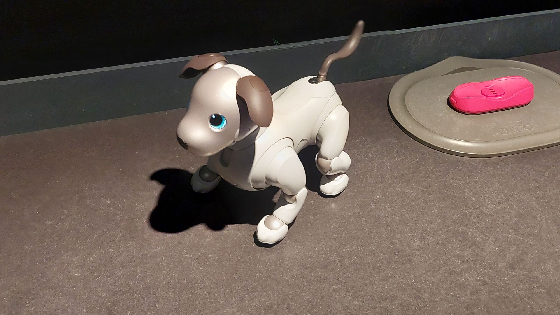 File:AIBO Sony.jpg