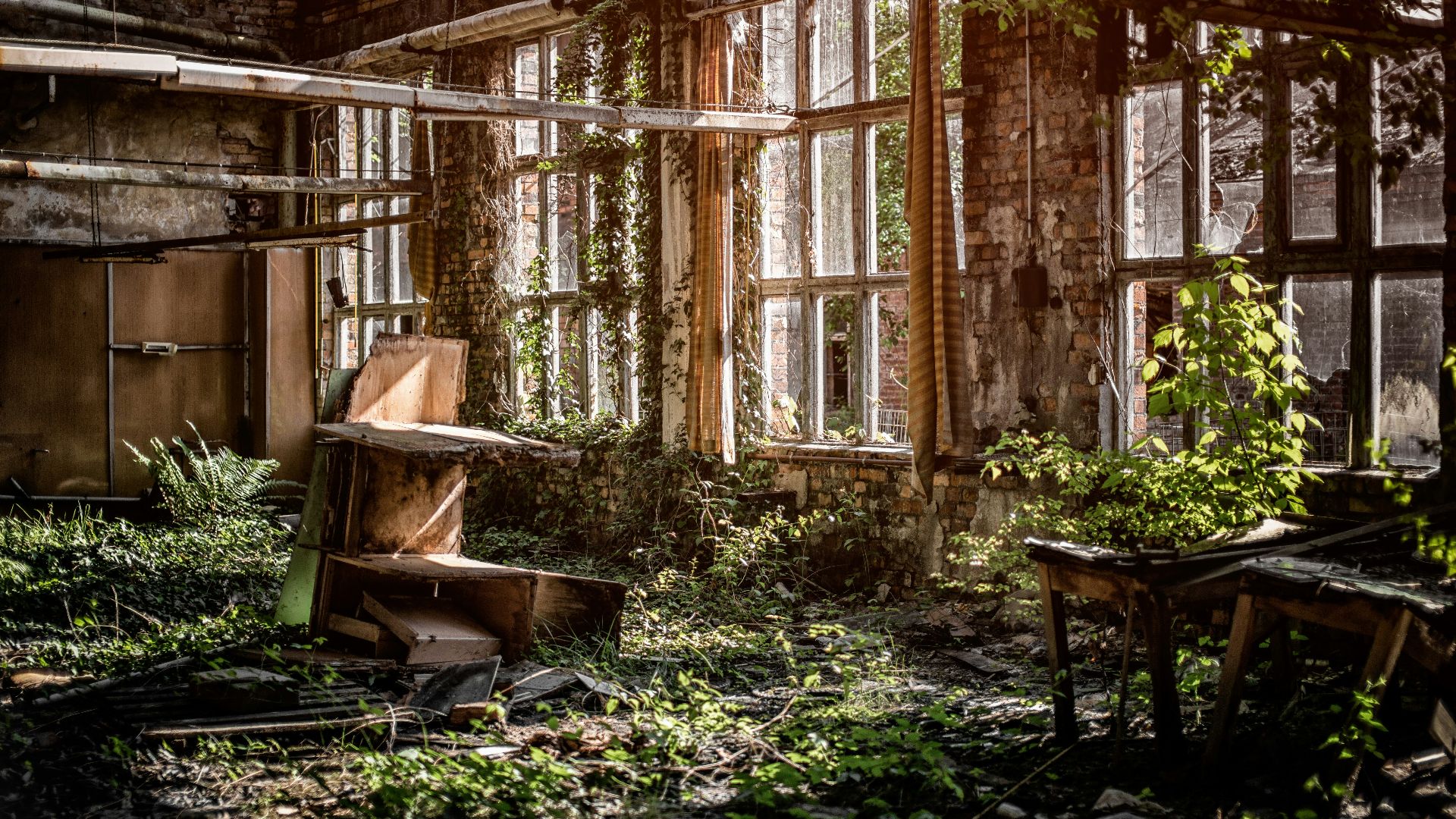 brown wooden table in room with leaves