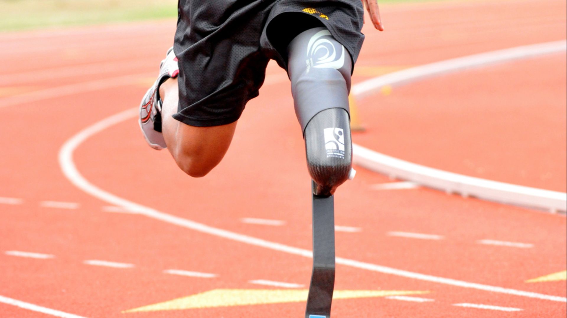 File:Flickr - The U.S. Army - U.S. Army World Class Athlete Program Paralympic.jpg