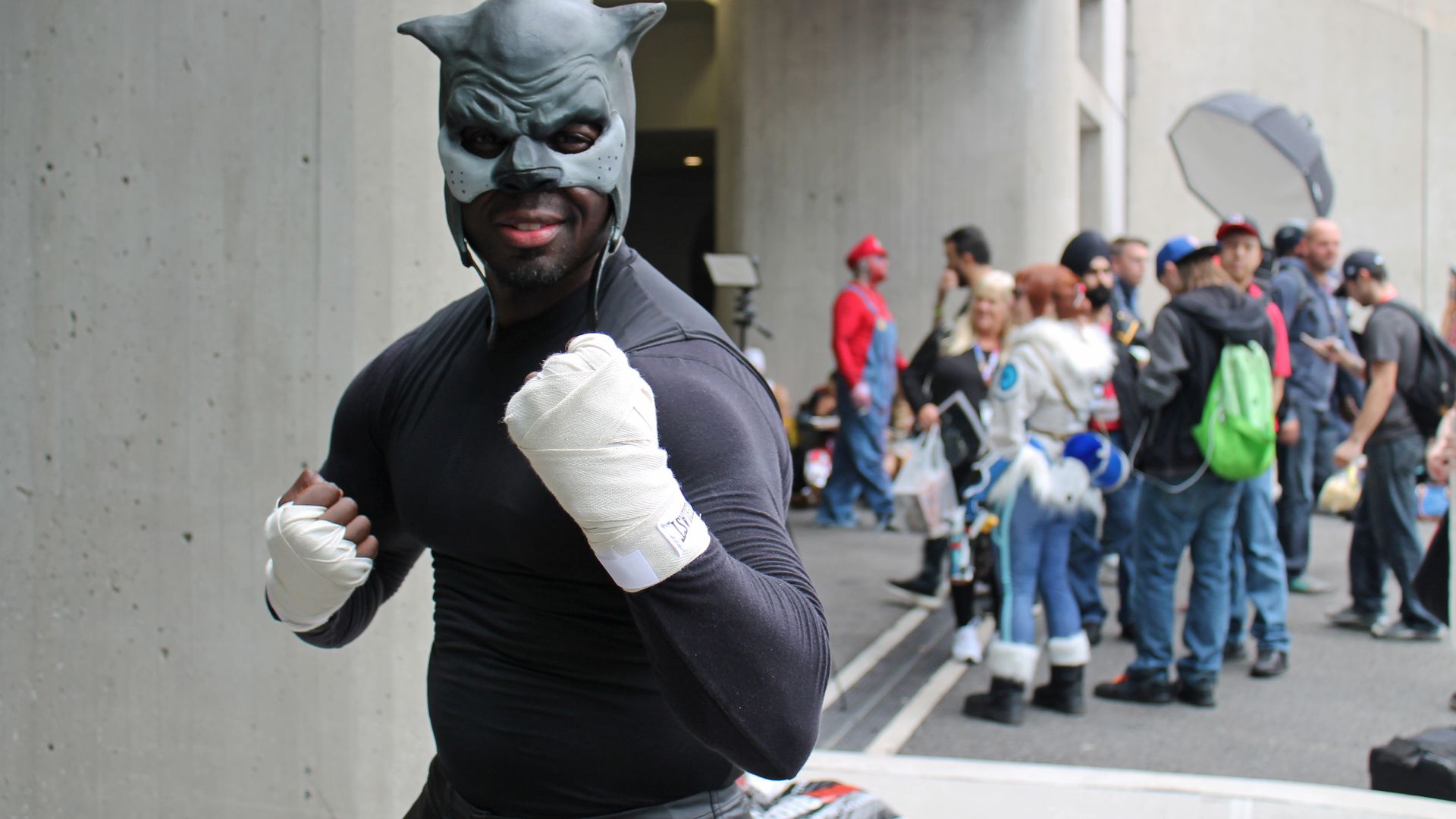 File:NYCC 2016 - Wildcat (30165309101).jpg