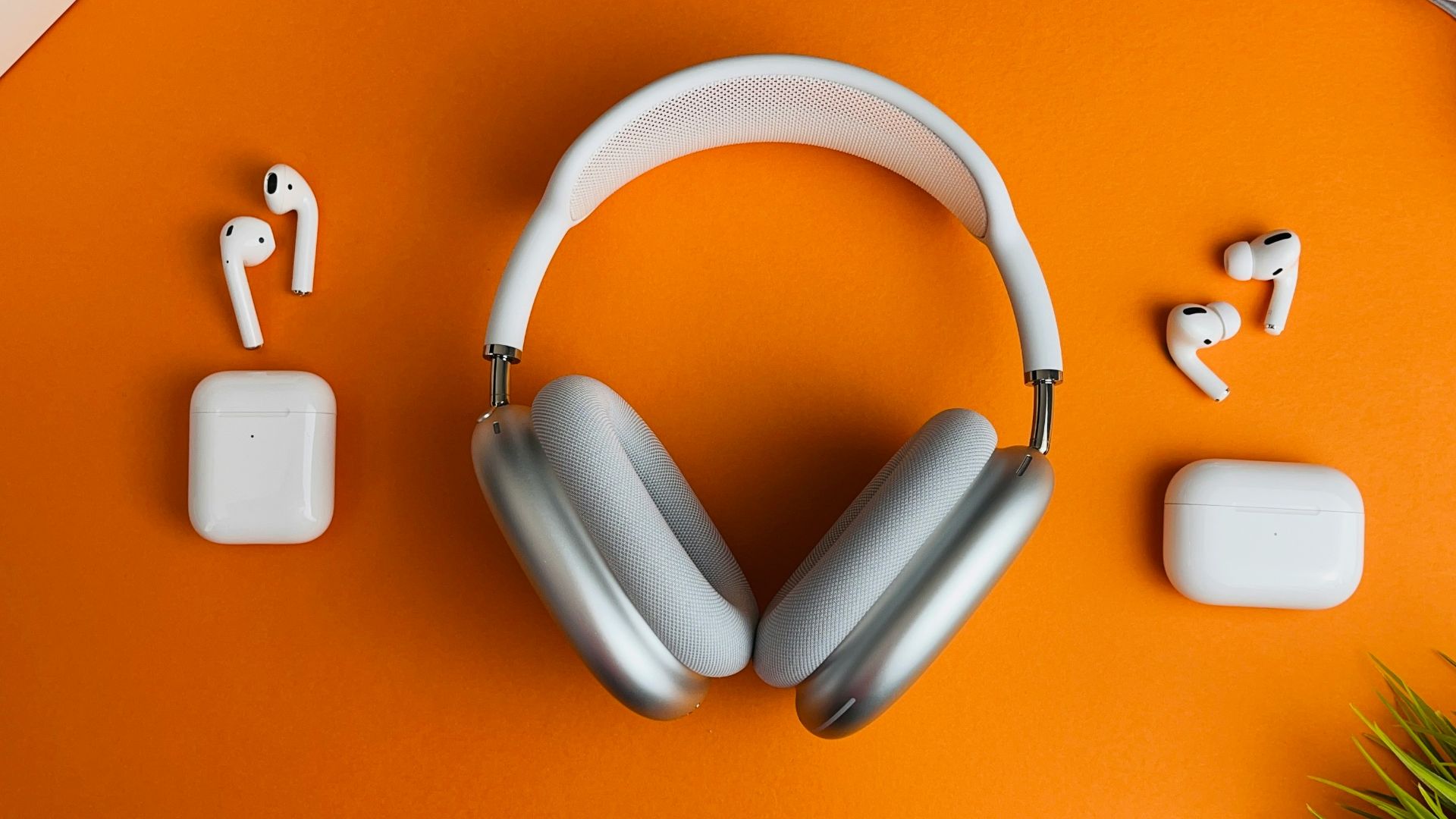 white and gray wireless headphones