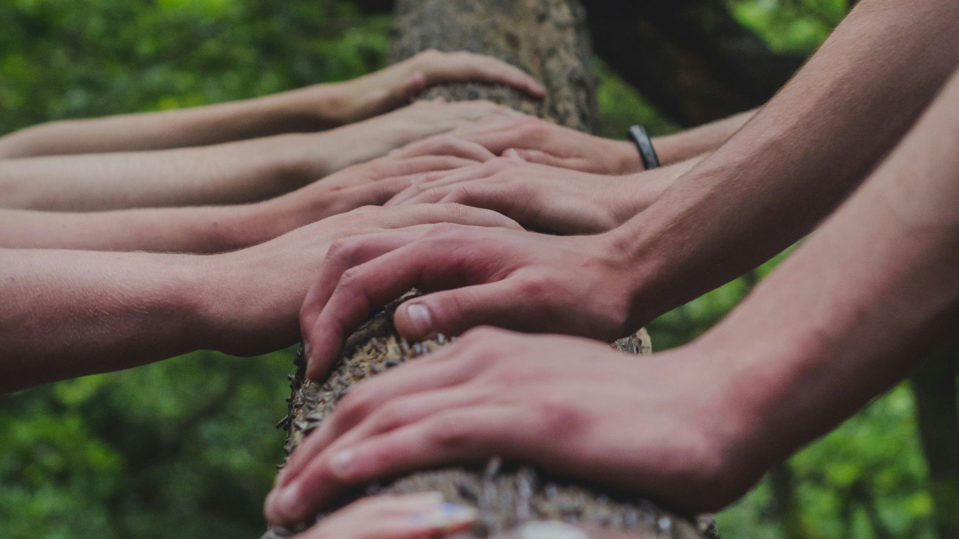 a group of people holding hands on top of a tree