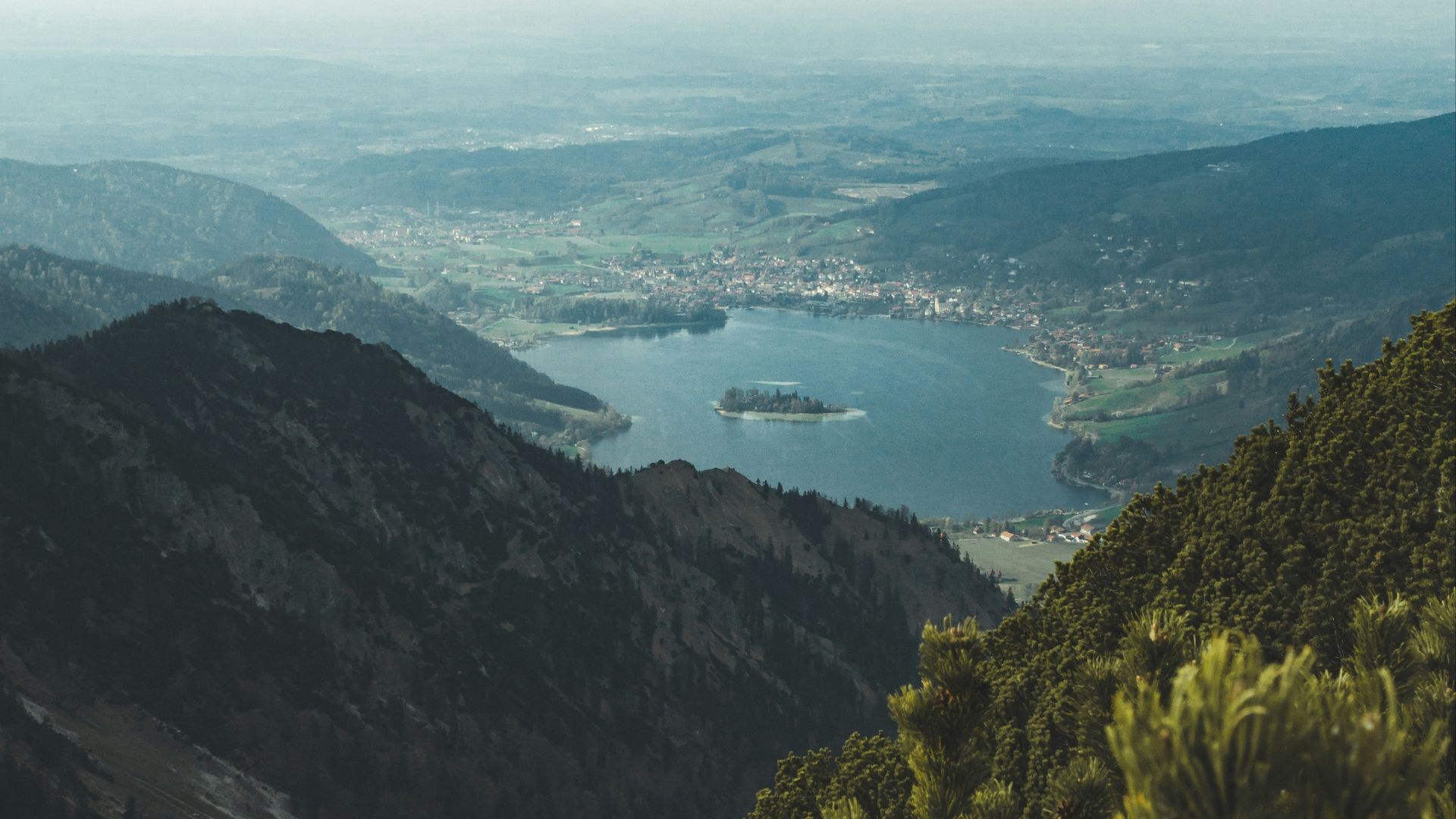 green trees on mountain during daytime