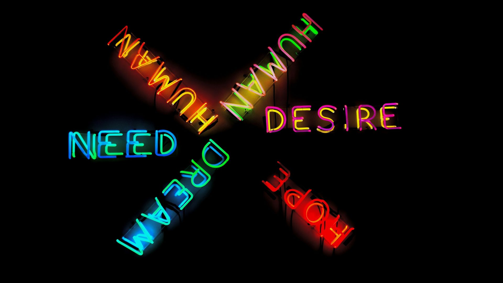 several assorted-color neon light signage