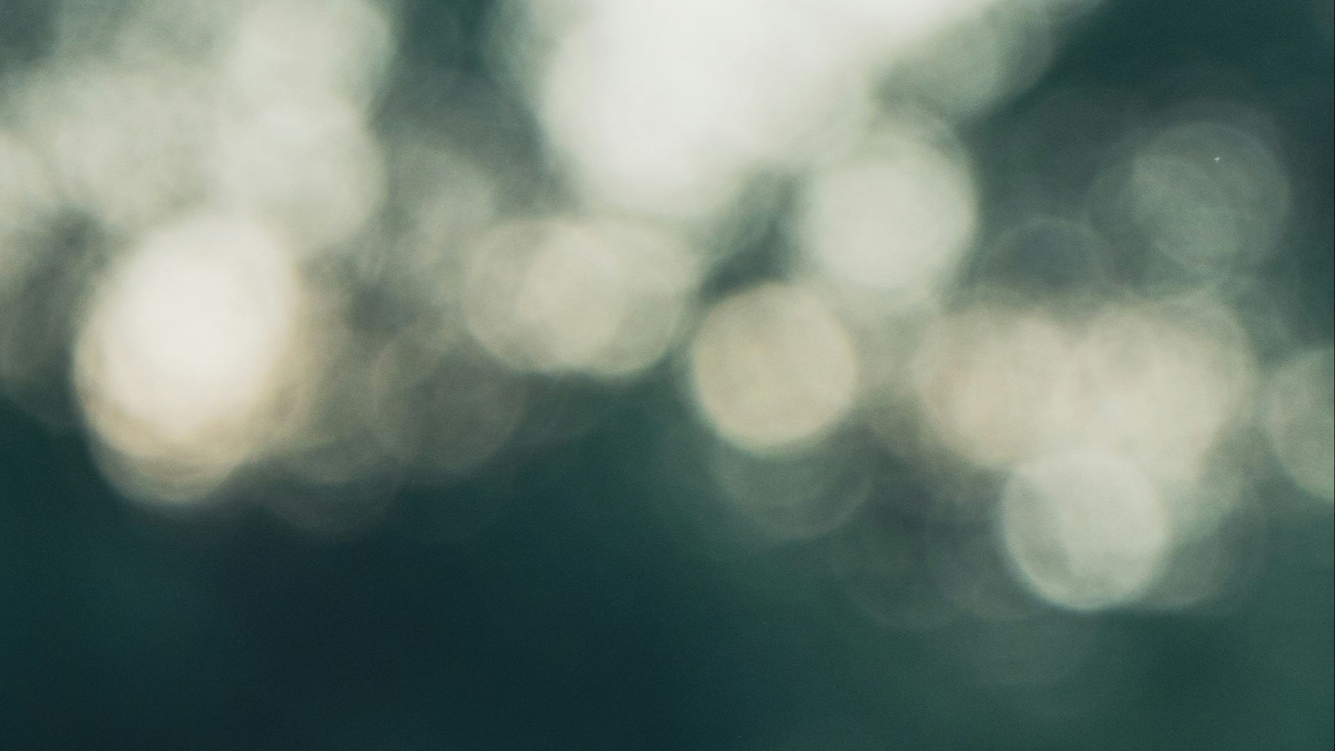 A bird sitting on a branch of a tree