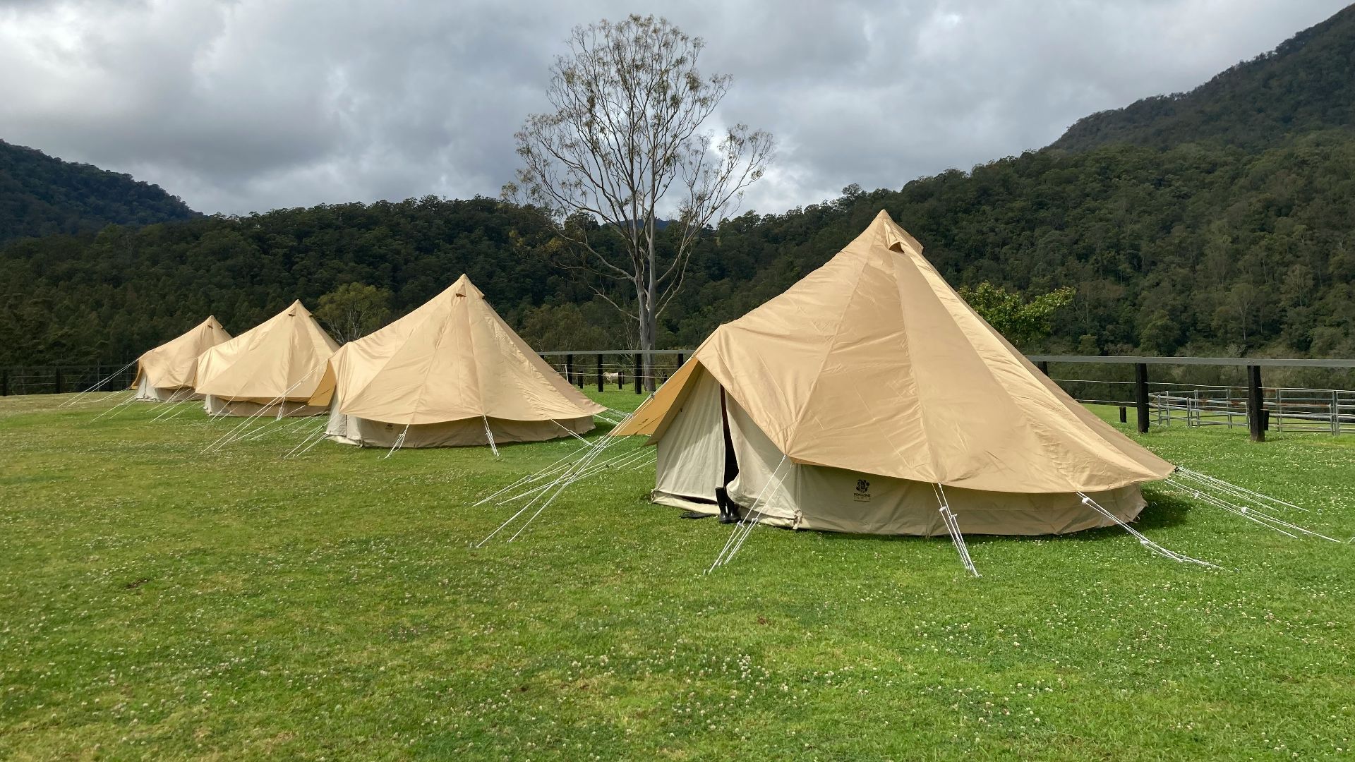 a group of tents in a grassy field