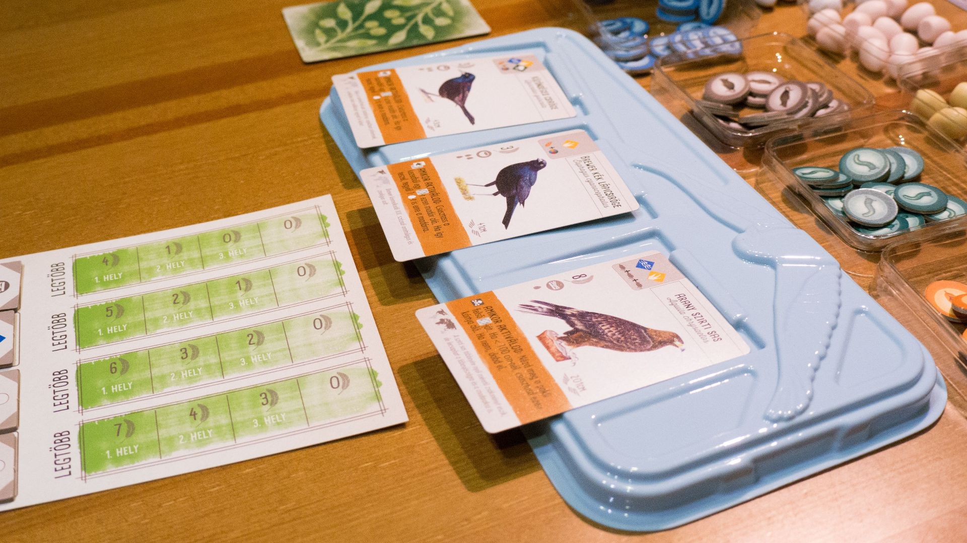 File:Cards in Wingspan board game.jpg