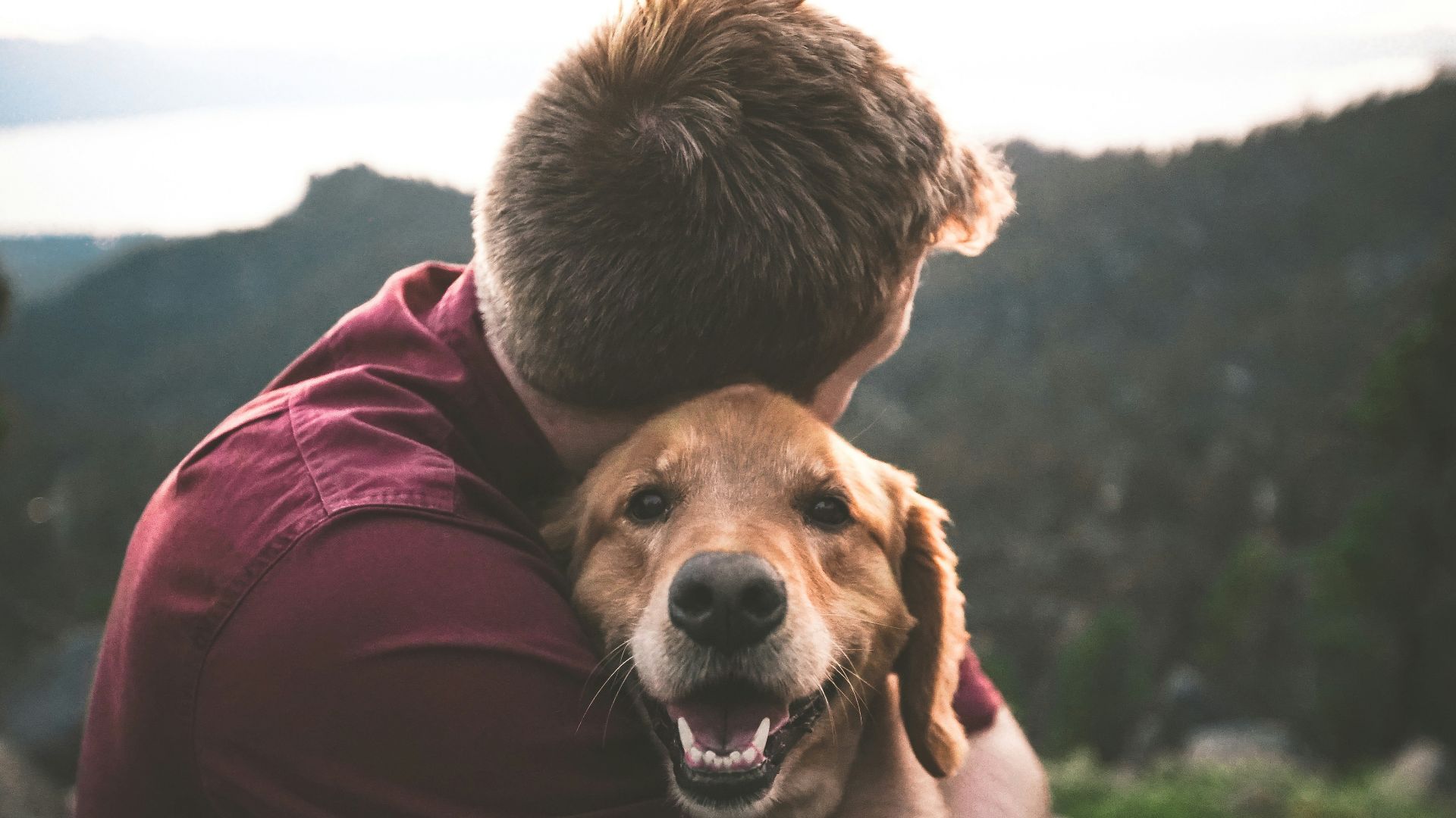 photo of man hugging tan dog