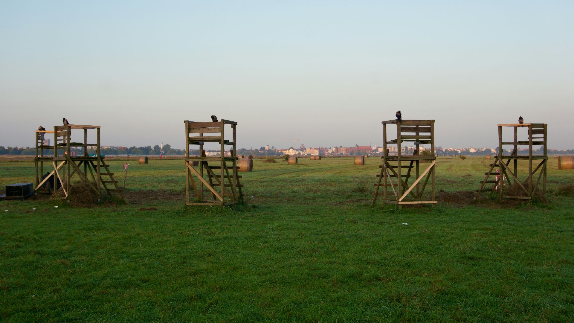 a group of wooden chairs sitting on top of a lush green field