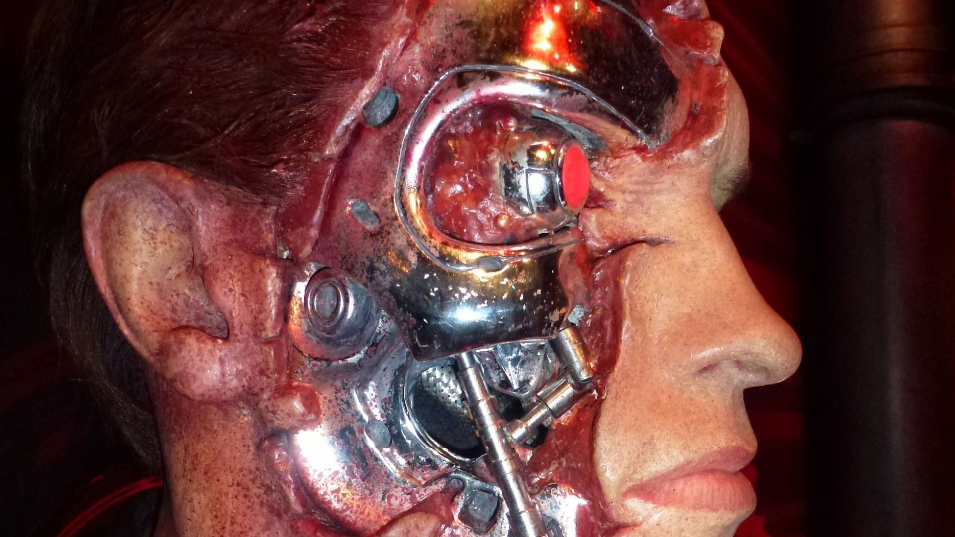 File:Londres Mme Tussaud museum Arnold Schwarzenegger (2).jpg