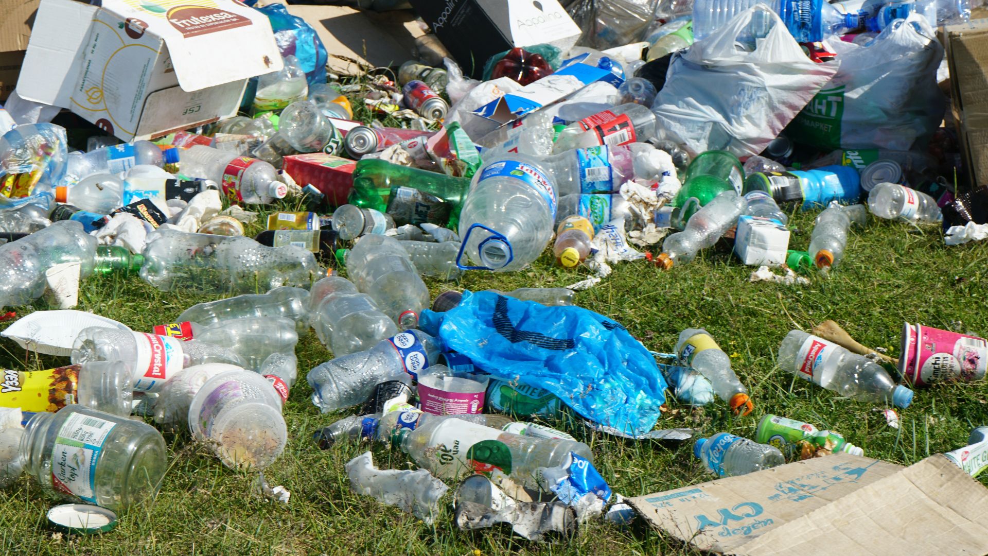 blue plastic bottle on green grass field
