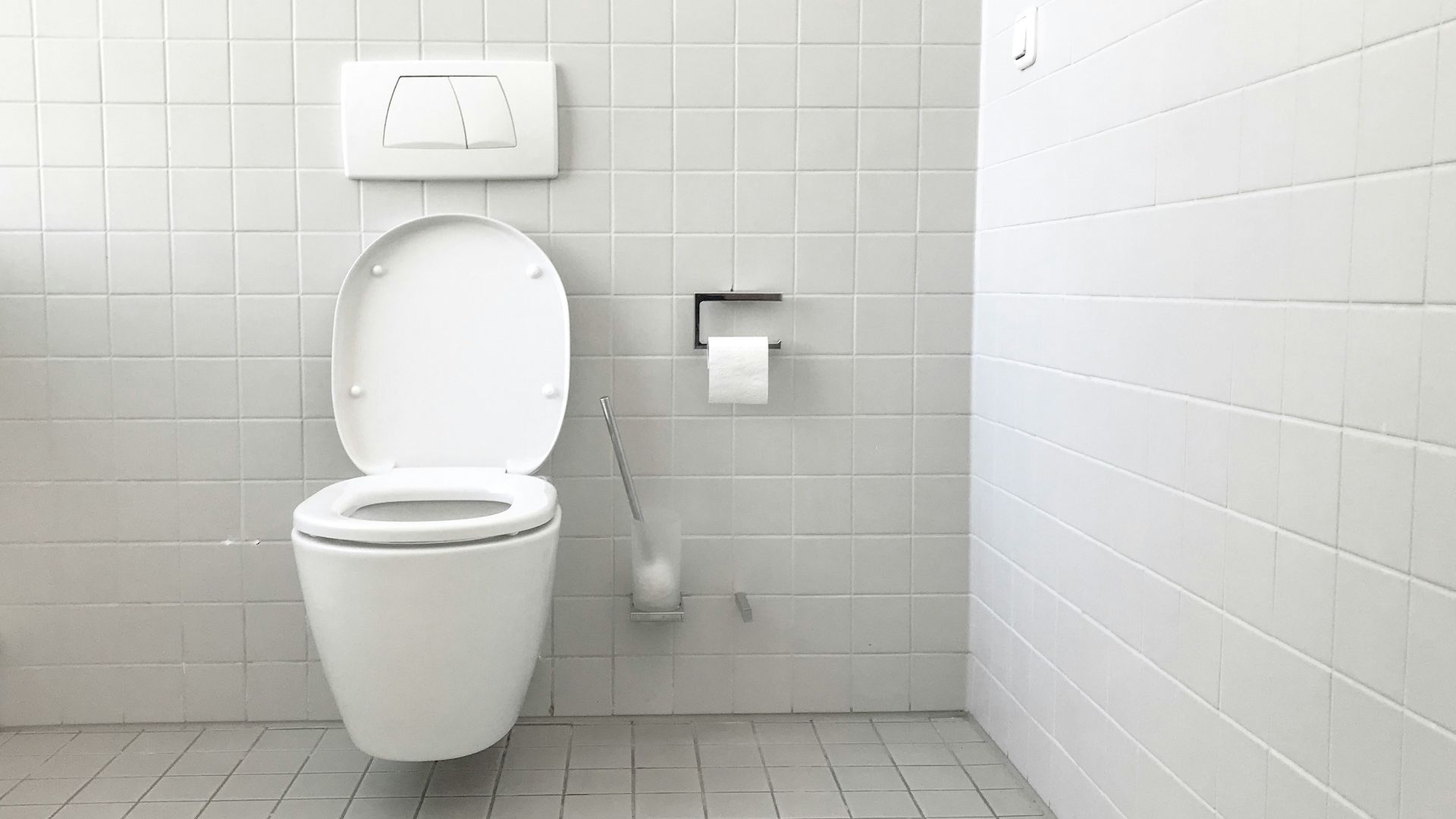 white toilet bowl with cistern