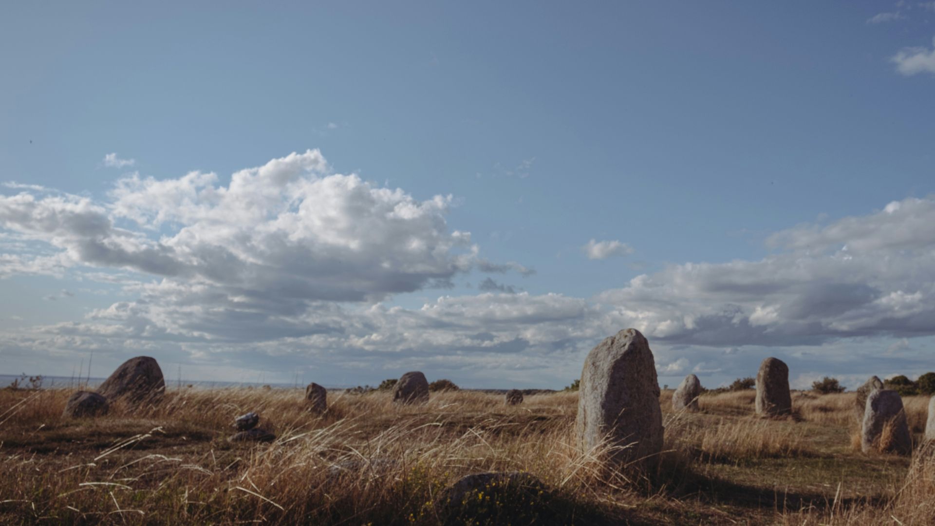 brown grass field under blue sky during daytime