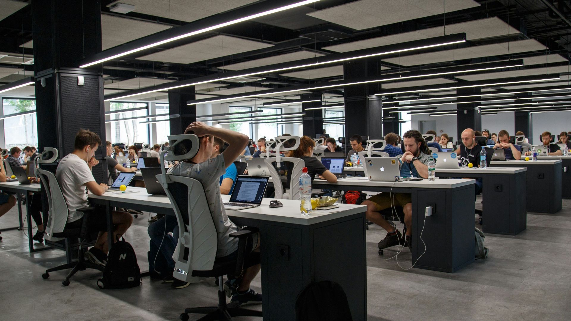 people doing office works