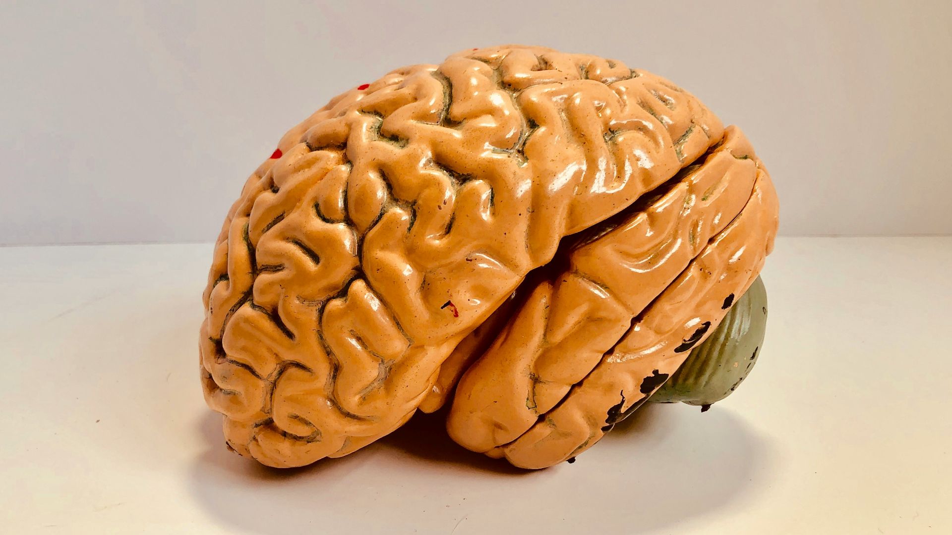 human brain figurine