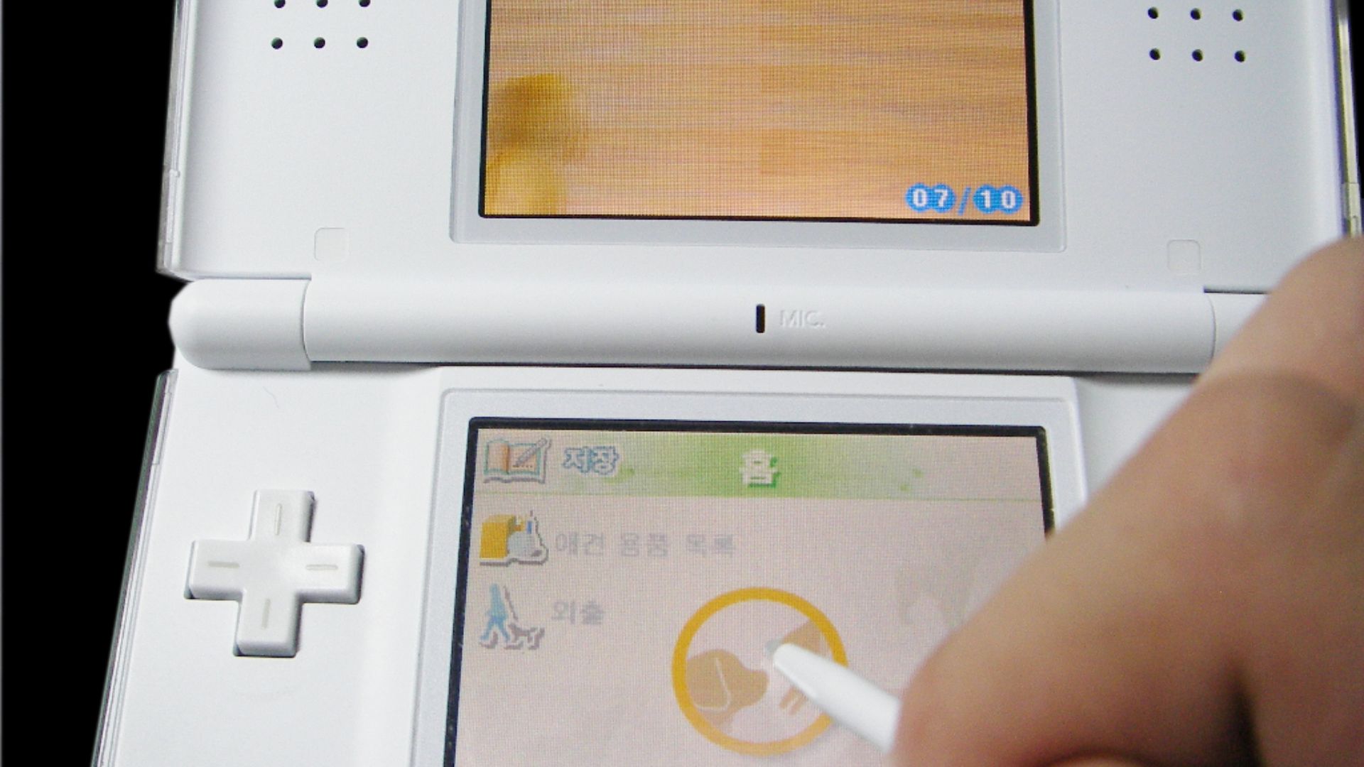 File:NDSL-Nintendogs Korean Version.png