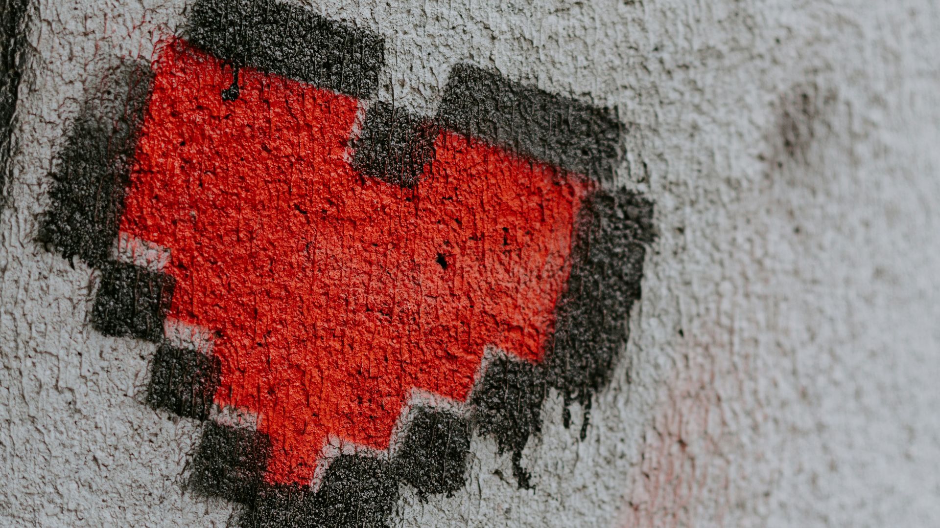 red and black textile on white textile