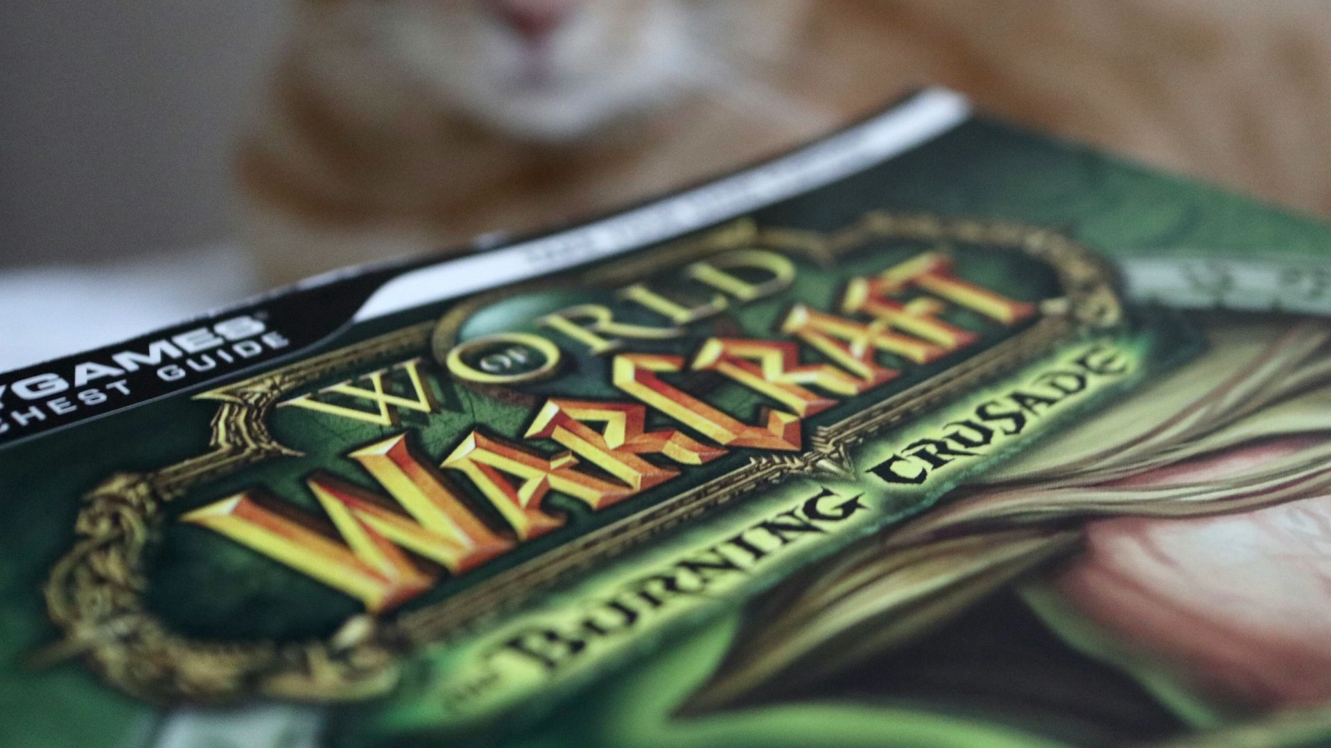 brown tabby cat on green and white textile