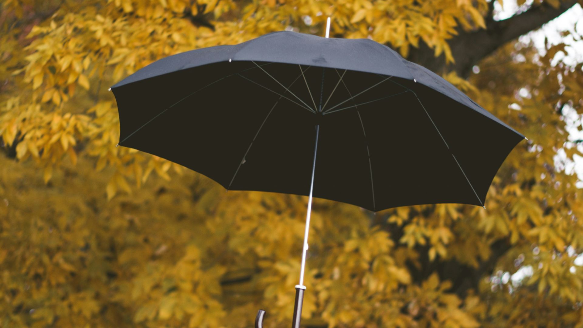 floating black umbrella