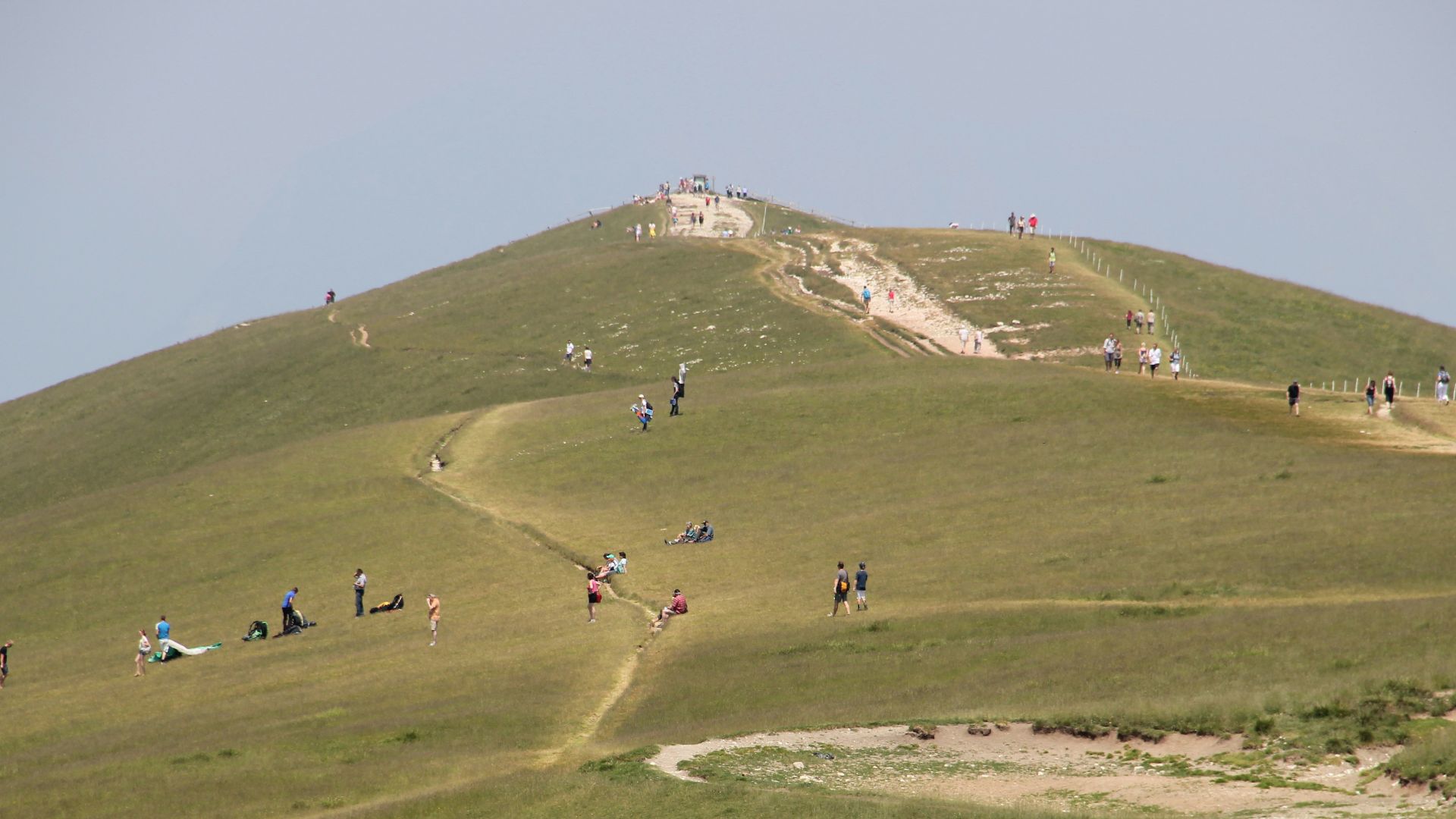 people walking on green grass field during daytime