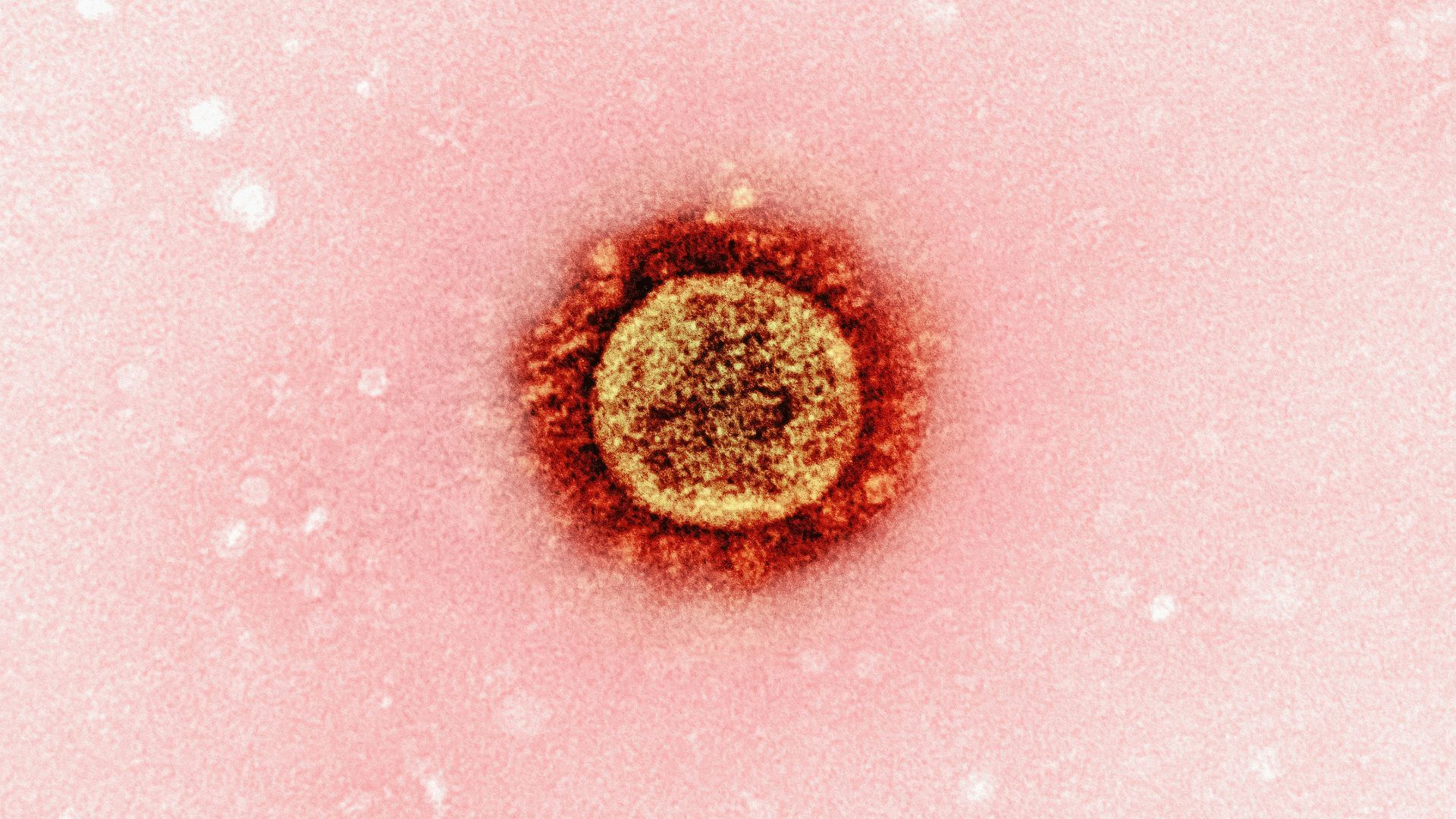 a close up of a red substance on a pink background