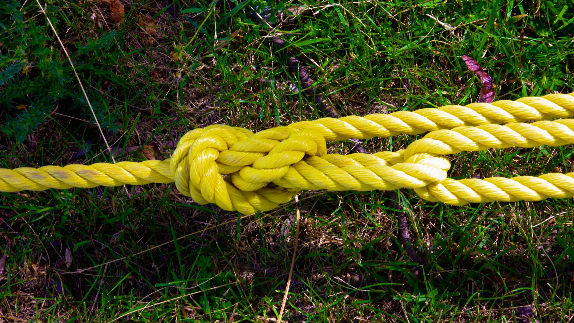 a close up of a yellow rope on the ground