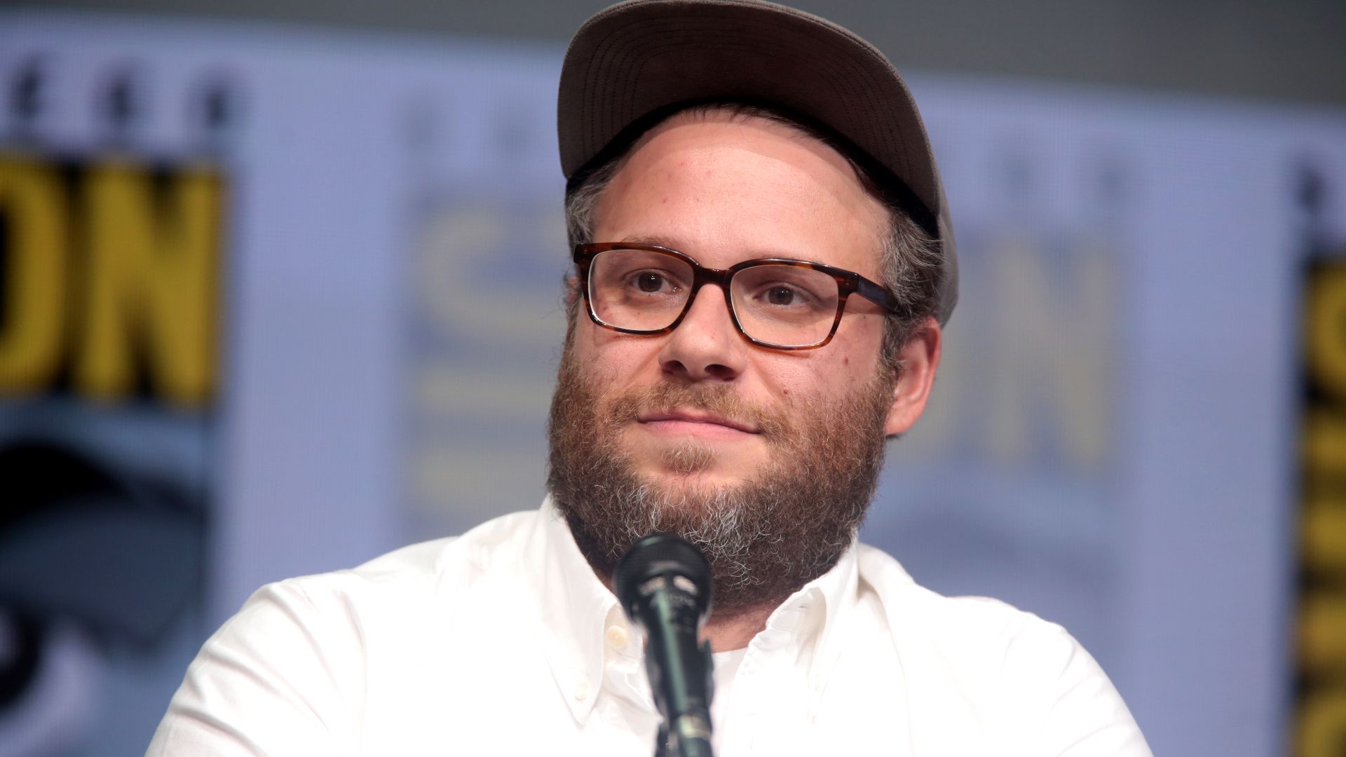 File:Seth Rogen (36137139426).jpg