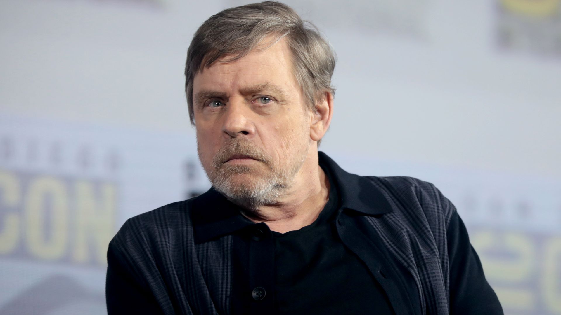 File:Mark Hamill (48419112426).jpg