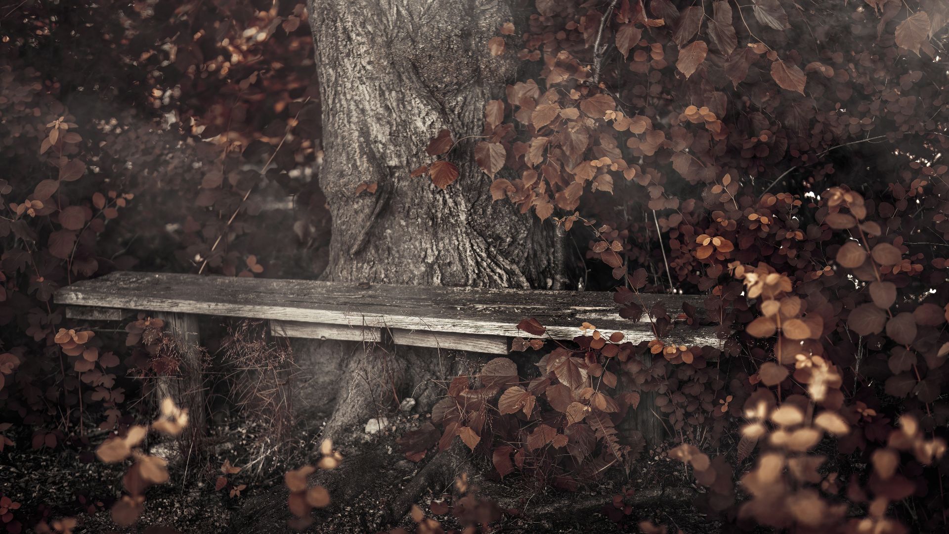 a wooden bench sitting in the middle of a forest