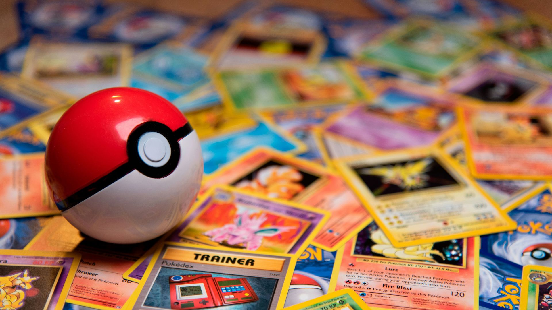 red and white ladybug toy on white and yellow book