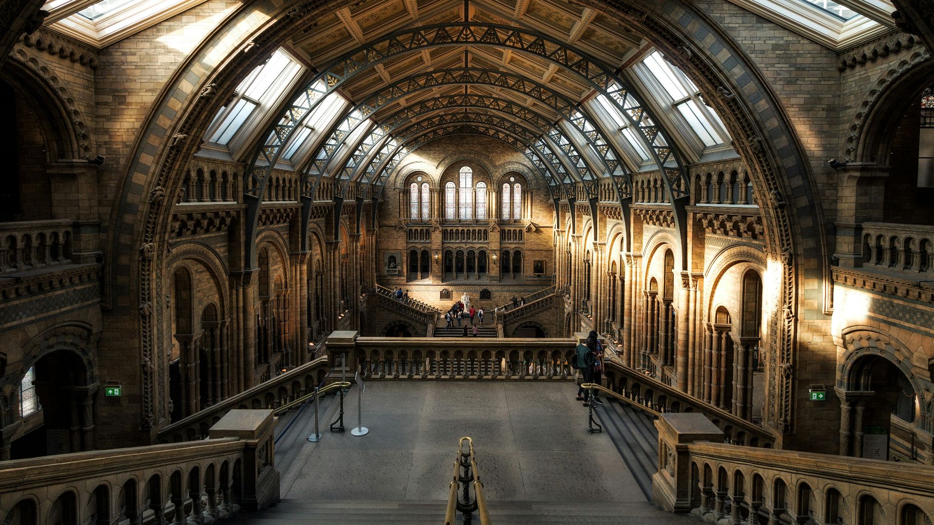 brown cathedral during daytimer